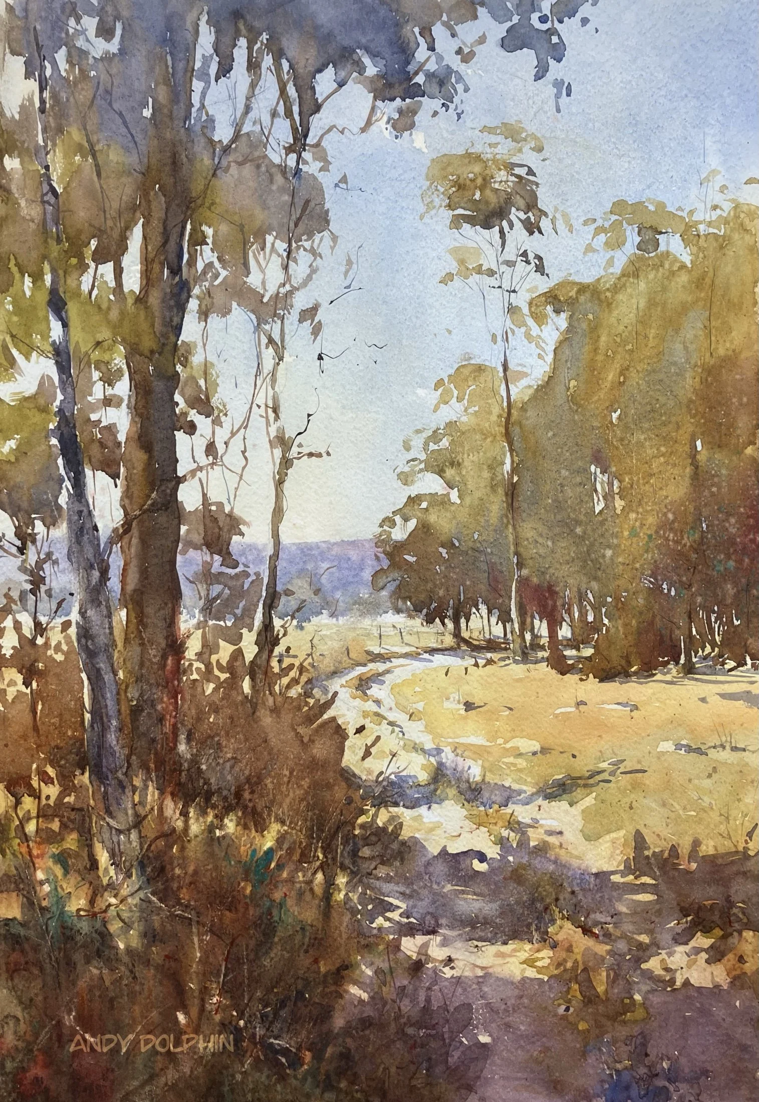 The West Track Andy Dolphin.jpg