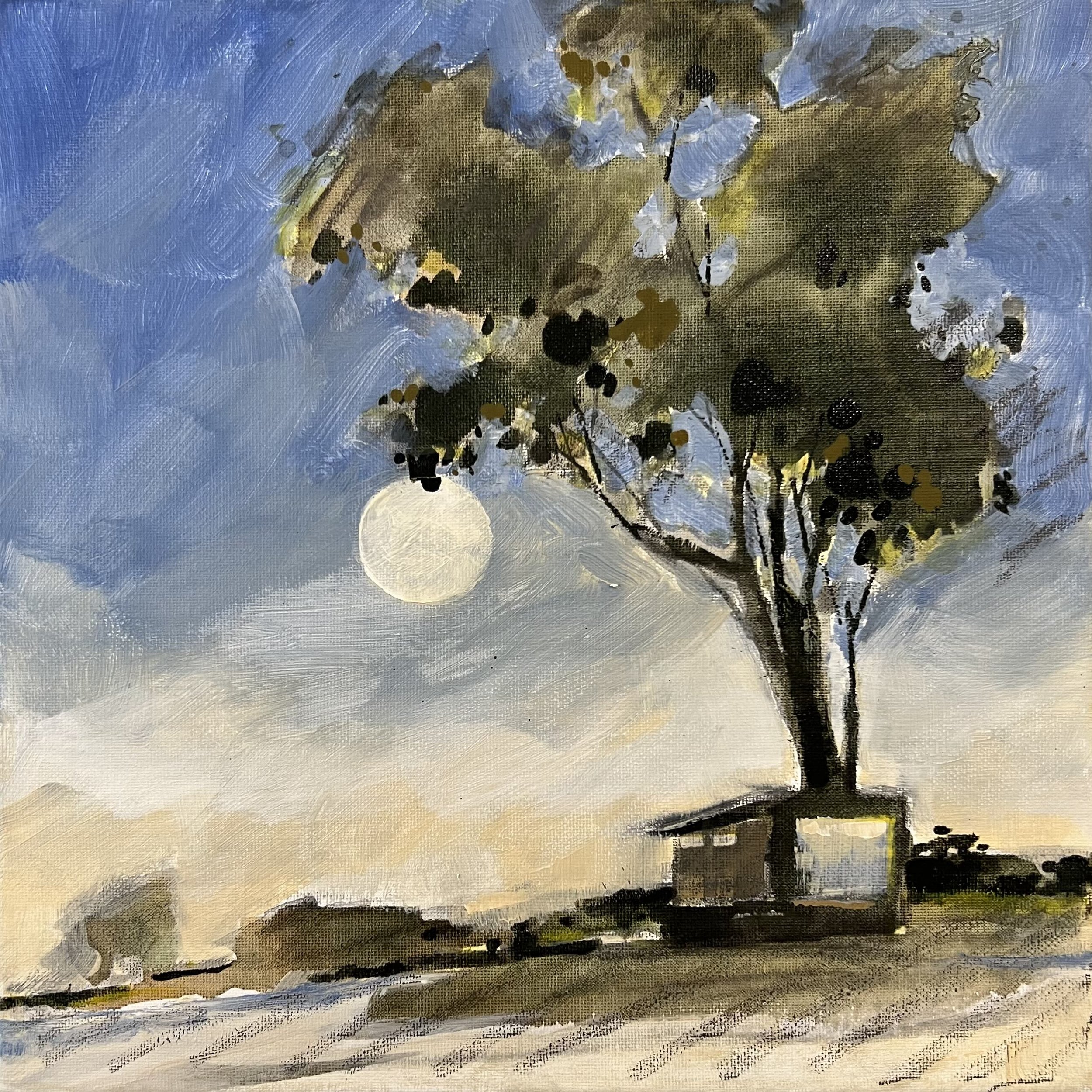 Super Moon_Sarah Pondevie.jpg