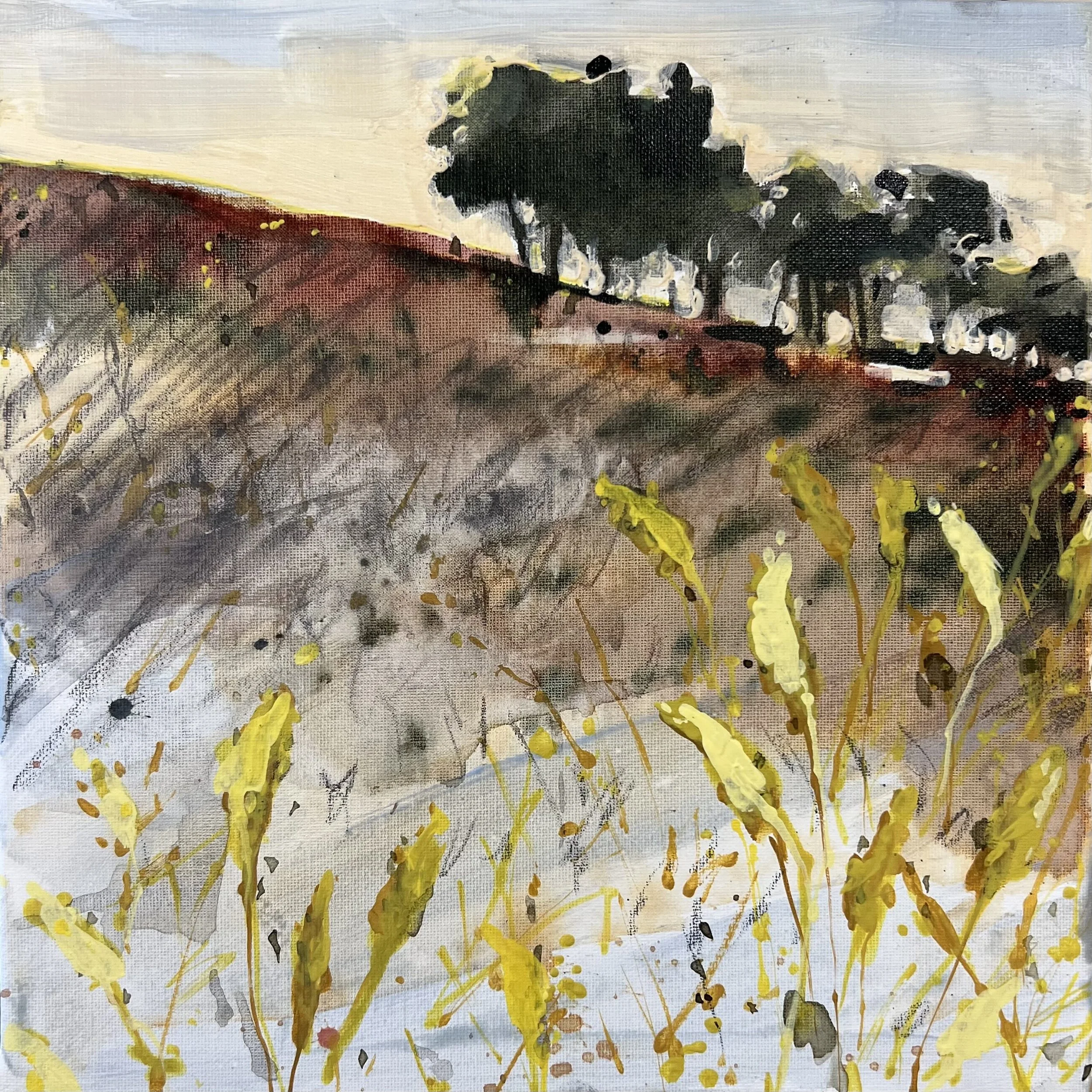 Wild Grasses_Sarah Pondevie.jpg