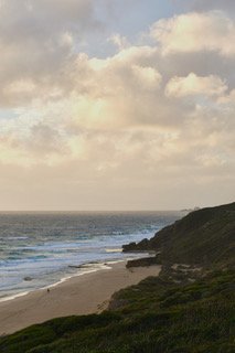 DSC_6435.jpeg