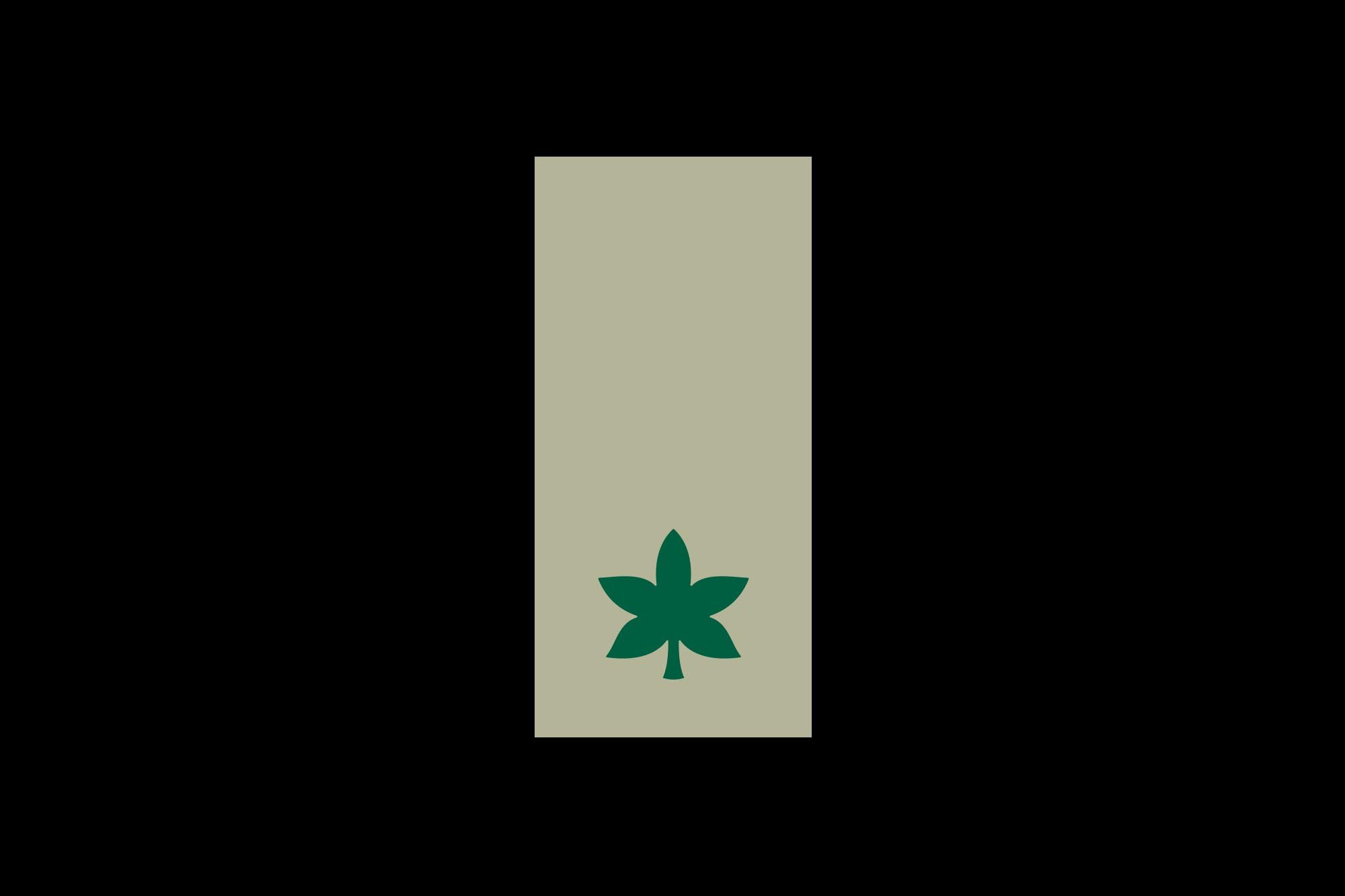  Major rank Leaf - “Falafel” 