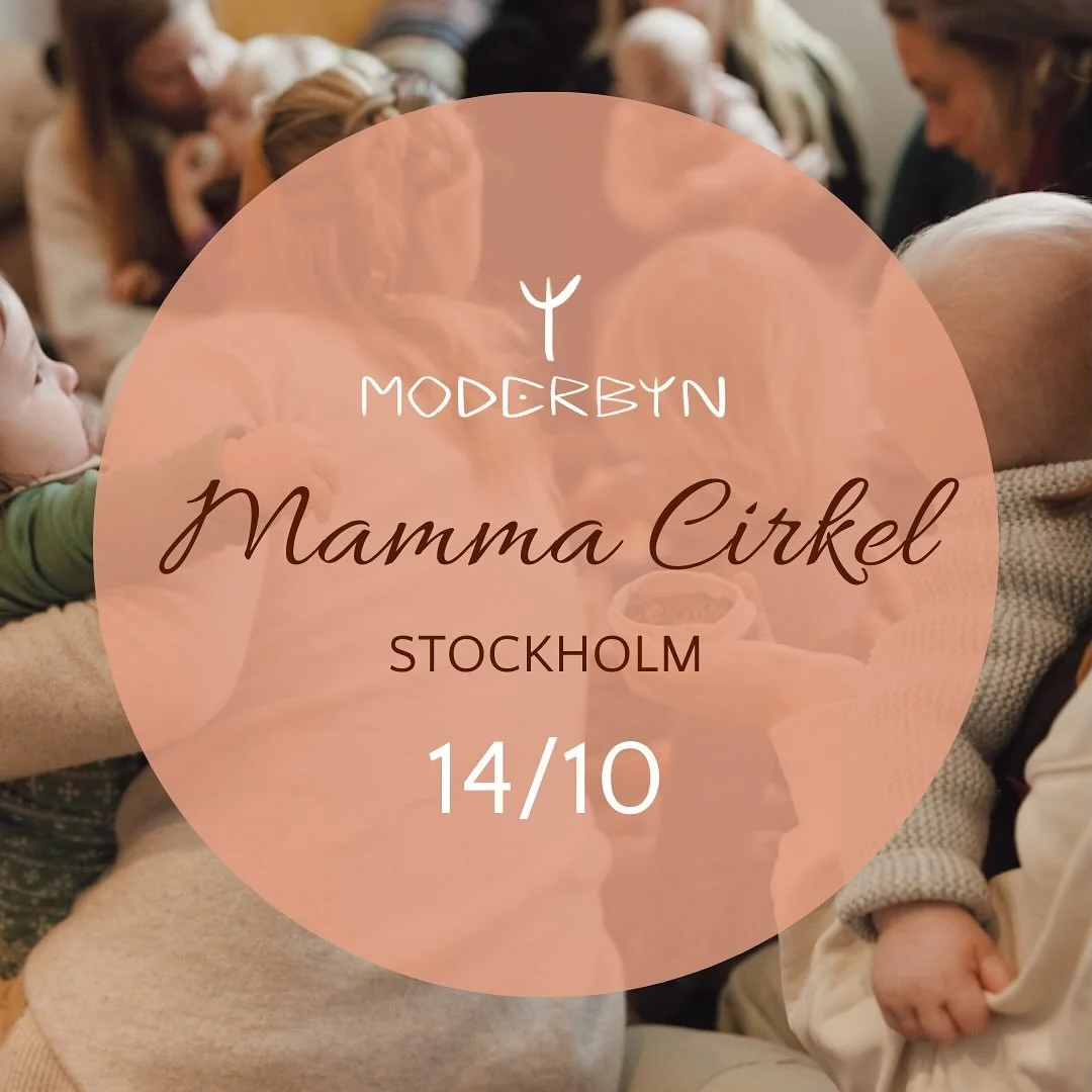 💗MAMMACIRKEL 

Tid: 14/10 kl 11-12.30 (+ lunch efter)
Plats: @mamitasthlm 
Cirkelledare: @jenniferwestin_yoga 

V&auml;lkommen att landa in i en till&aring;tande cirkel d&auml;r intentionen &auml;r att samreglera och att m&ouml;ta varandra i gemensk