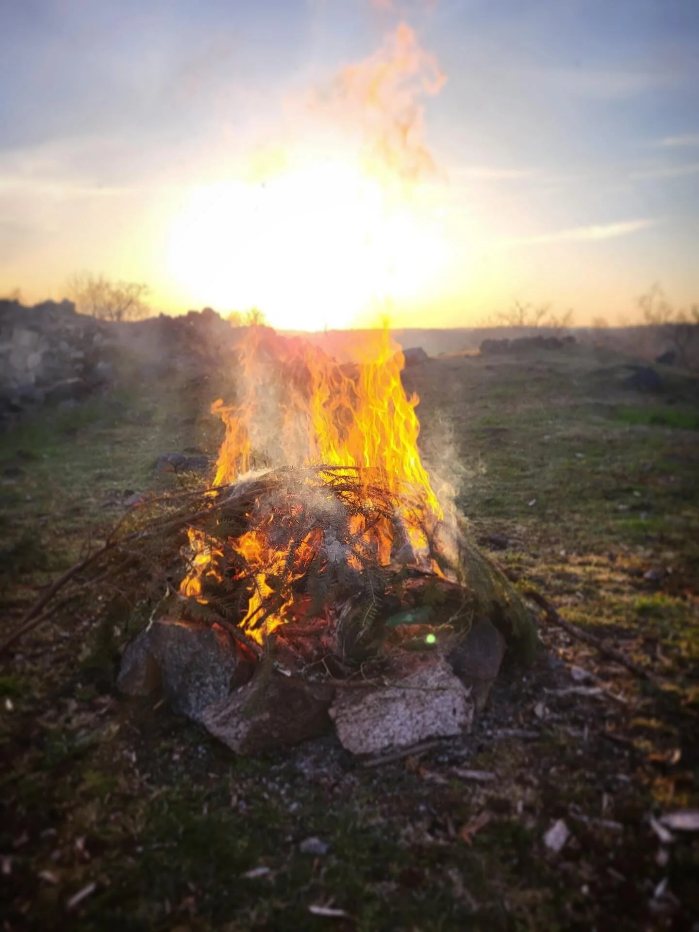 🔥 HELIG ELD, HELIG FERTILITET 🌱

Valborg st&aring;r f&ouml;r d&ouml;rren, eller det som i keltisk tradition kallas Beltane. En urgammal h&ouml;gtid f&ouml;r att fira fertiliteten och livskraften. 

K&auml;nner du hur v&aring;rens eldar pyr och den 