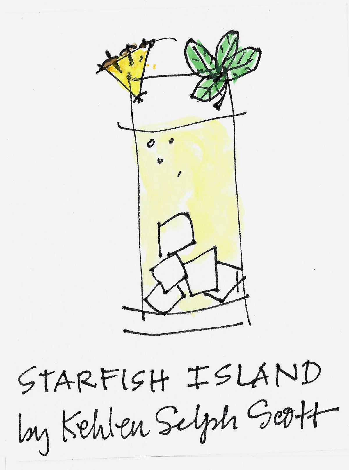 STARFISH ISLAND drawing by Amy C Evans.jpg