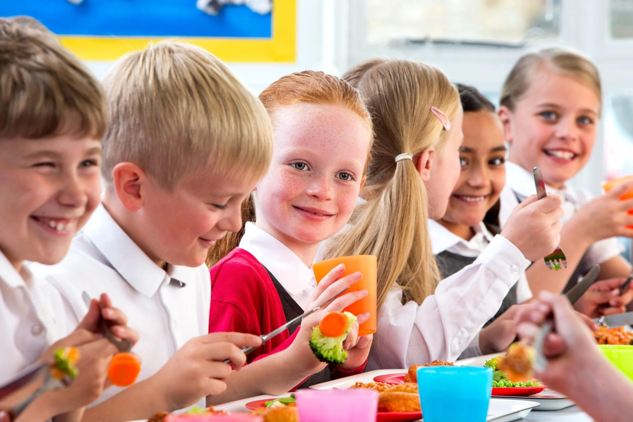 Benedict’s Law: What Schools Need to Know About Allergy Safety from September 2026