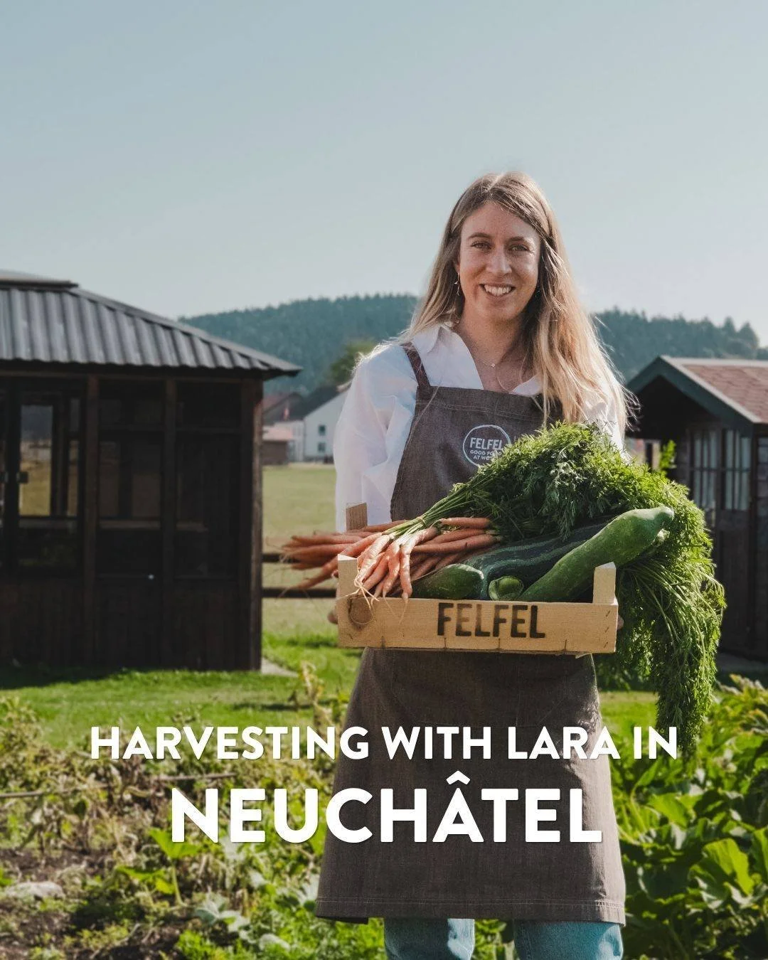 Bonjour! Did you know FELFEL brings fresh, chef-cooked meals straight to your office?👨&zwj;🌾 For the Tour de Romandie, our Food Scouts scouted French-speaking Switzerland for the best local ingredients and passionate producers. The result? Authenti