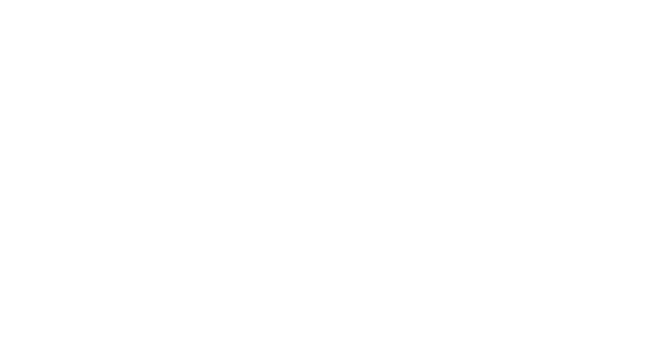 Victorinox