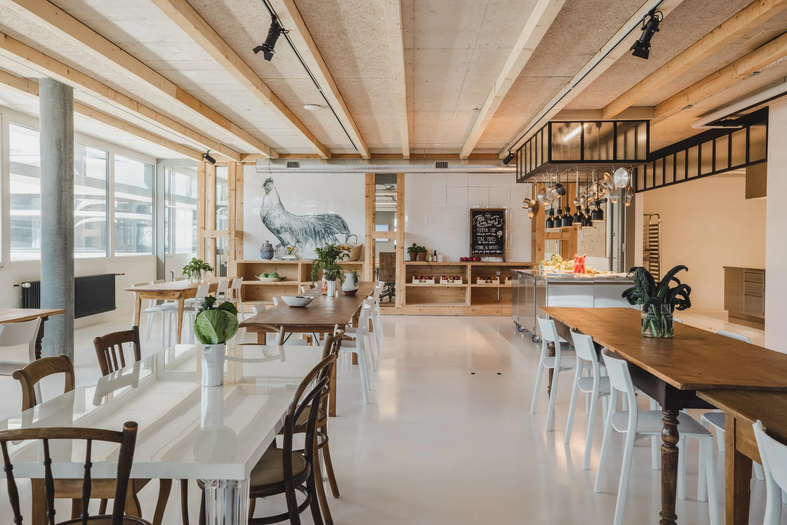 Innenansicht des FELFEL Showrooms mit Fokus auf Verpflegungslösungen