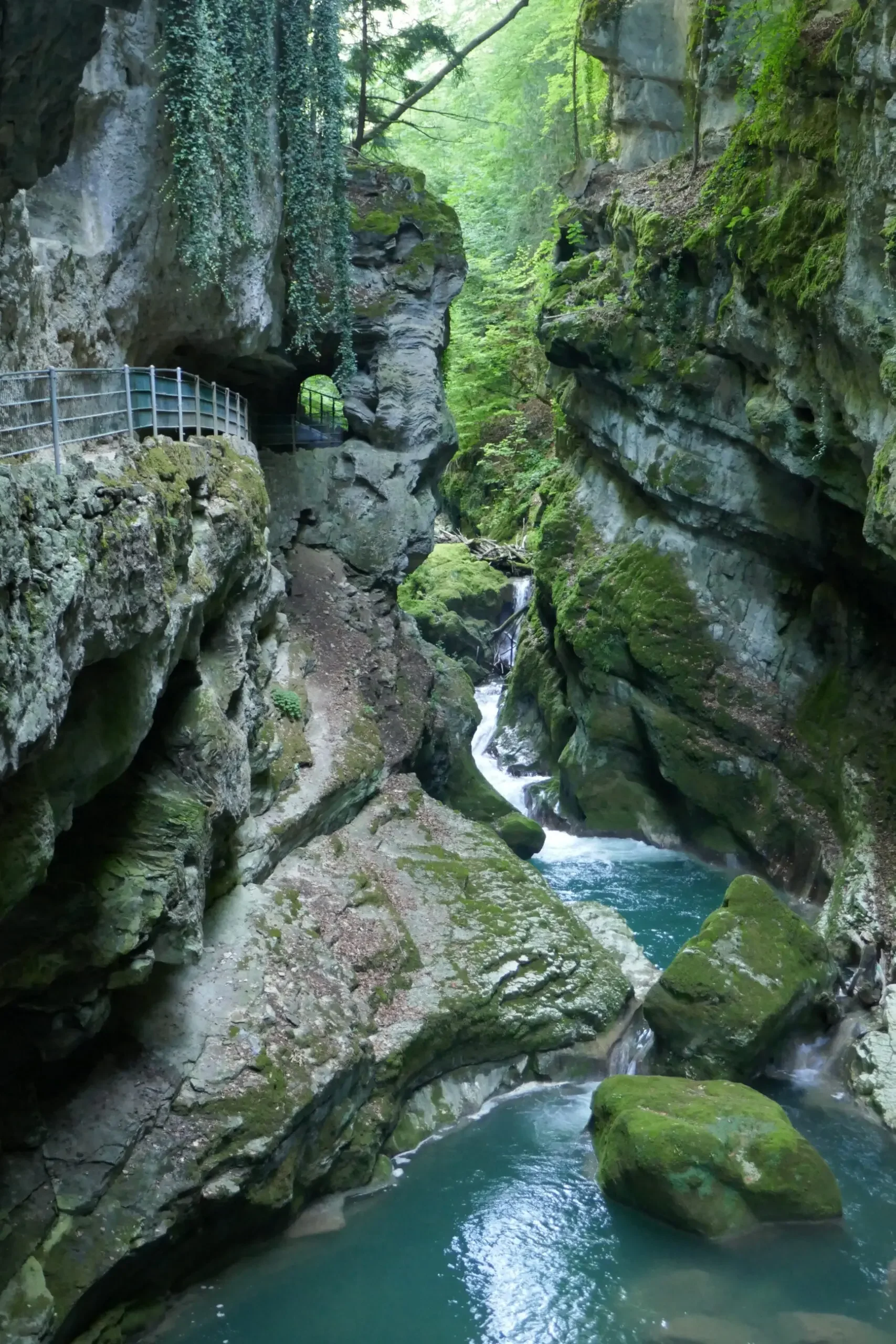 Enger Schluchtdurchgang mit rauschend türkisblauem Wasser in der Taubenlochschlucht bei Biel