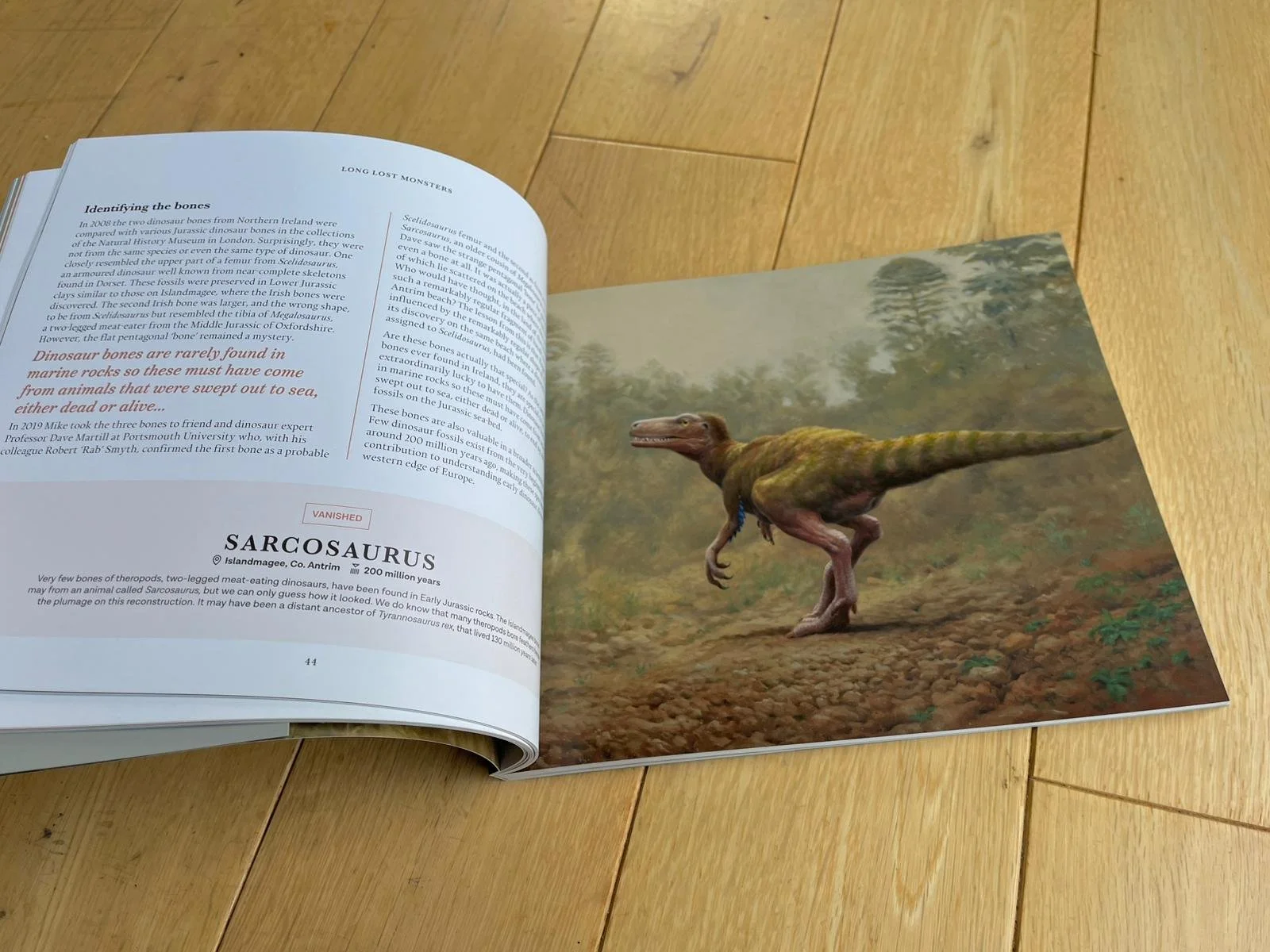 WhatsApp Image 2025-11-23 at 09.16.51 (1).jpeg