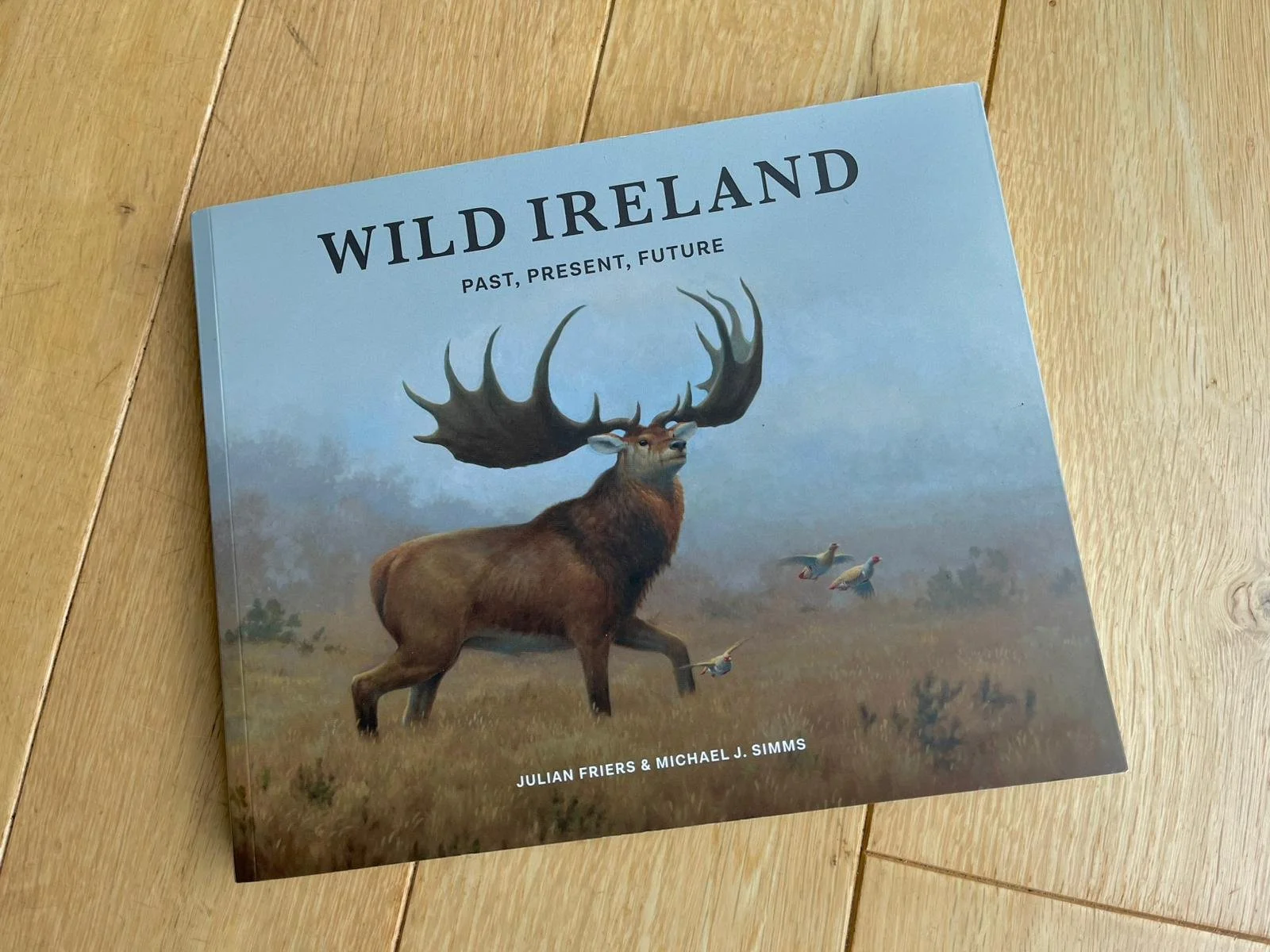 WhatsApp Image 2025-11-23 at 09.16.51.jpeg