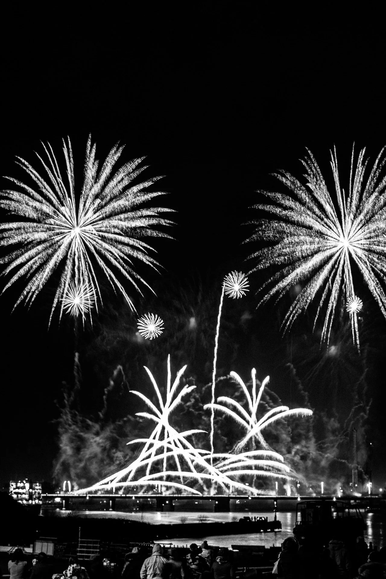 IMG_7652.jpg
