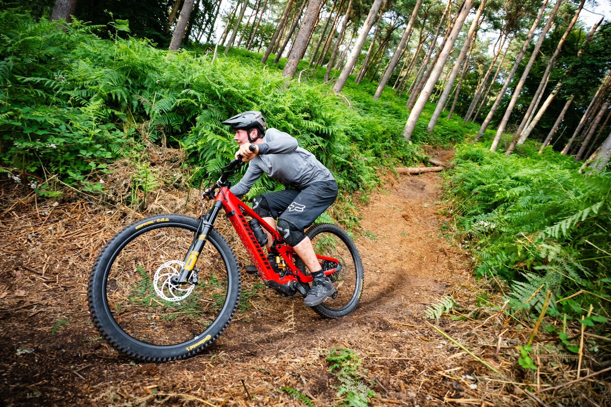 Propain Sresh SL - small-3.jpg