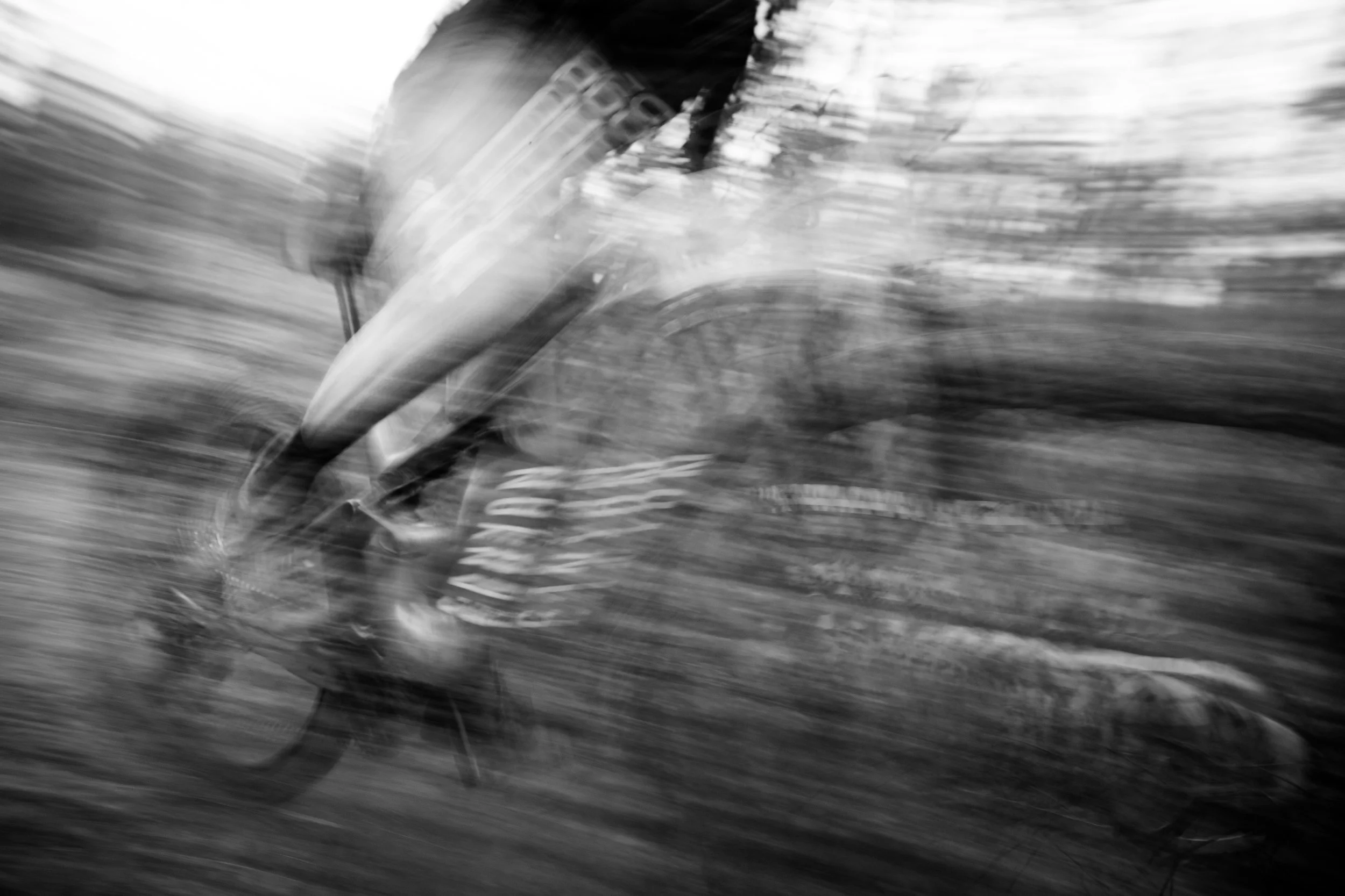 Canyon Neuron ON_Fly-04.jpg