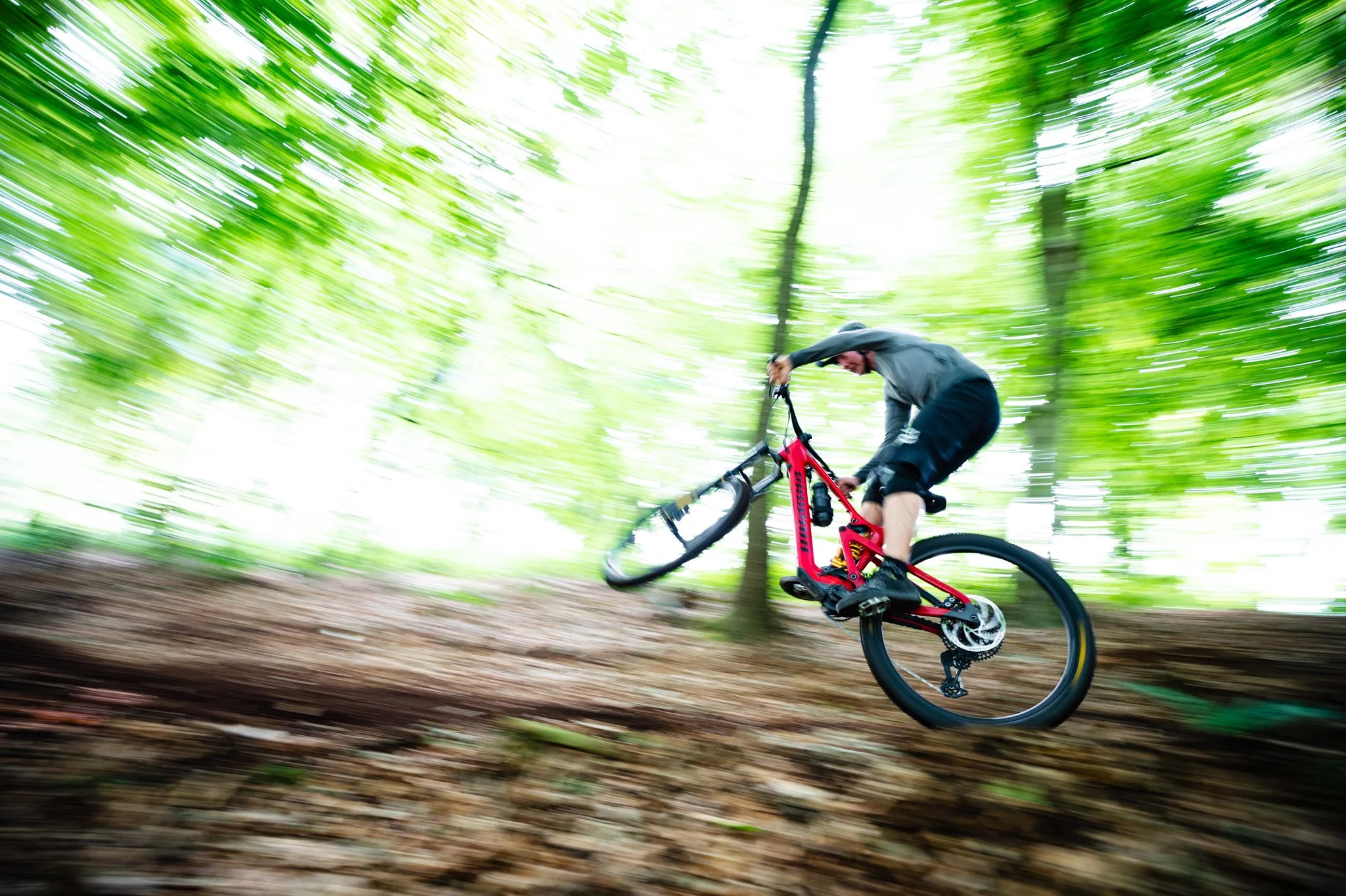 Propain Sresh SL - small-1.jpg