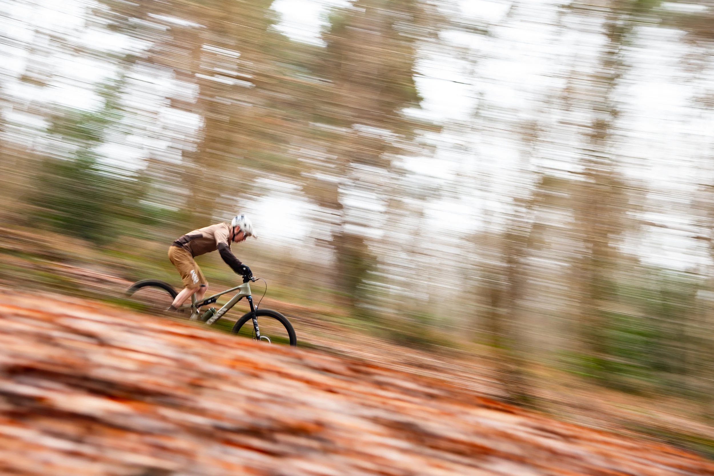 Canyon Neuron ON_Fly-07.jpg