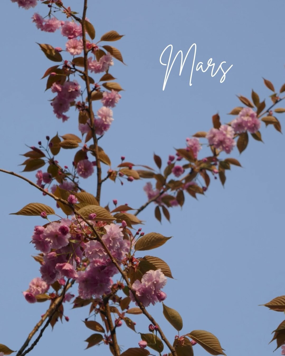 Retour sur un mois de mars marqu&eacute; par l&rsquo;arriv&eacute;e du printemps et des allergies qui vont avec. 😅 Et bien s&ucirc;r des ateliers, des rencontres, des projets qui avancent, une semaine de vacances &agrave; la montagne et un joli fair