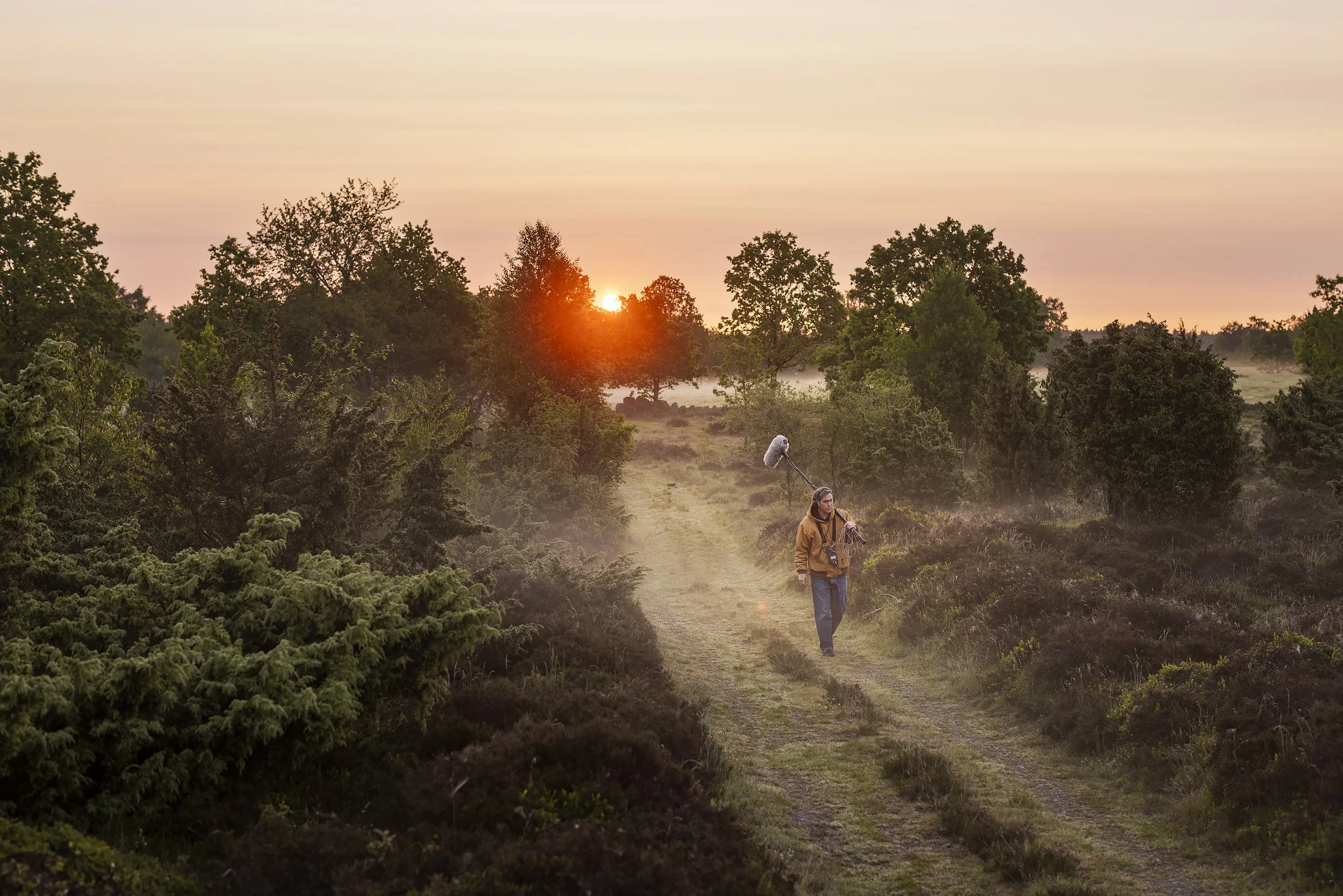 Vad hände egentligen?