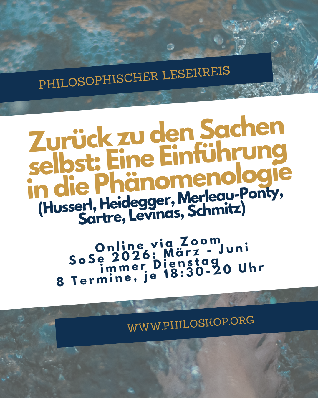 Lesekreis Phänomenologie