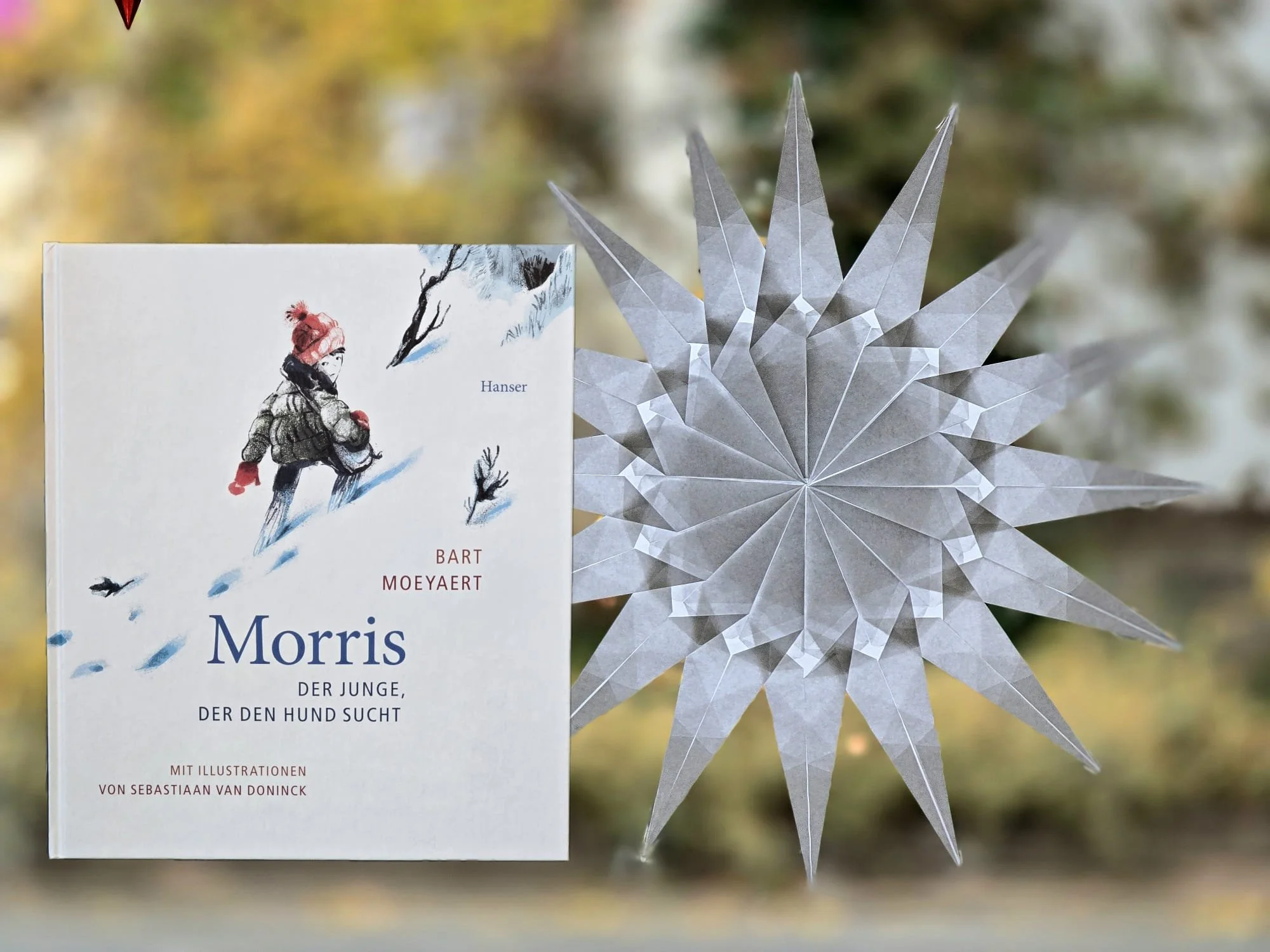 Bart Moeyaert: Morris - Der Junge, der den Hund sucht