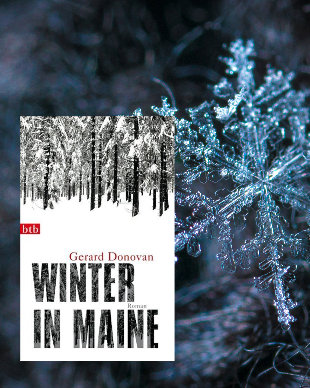 Gerard Donovan: Winter in Maine