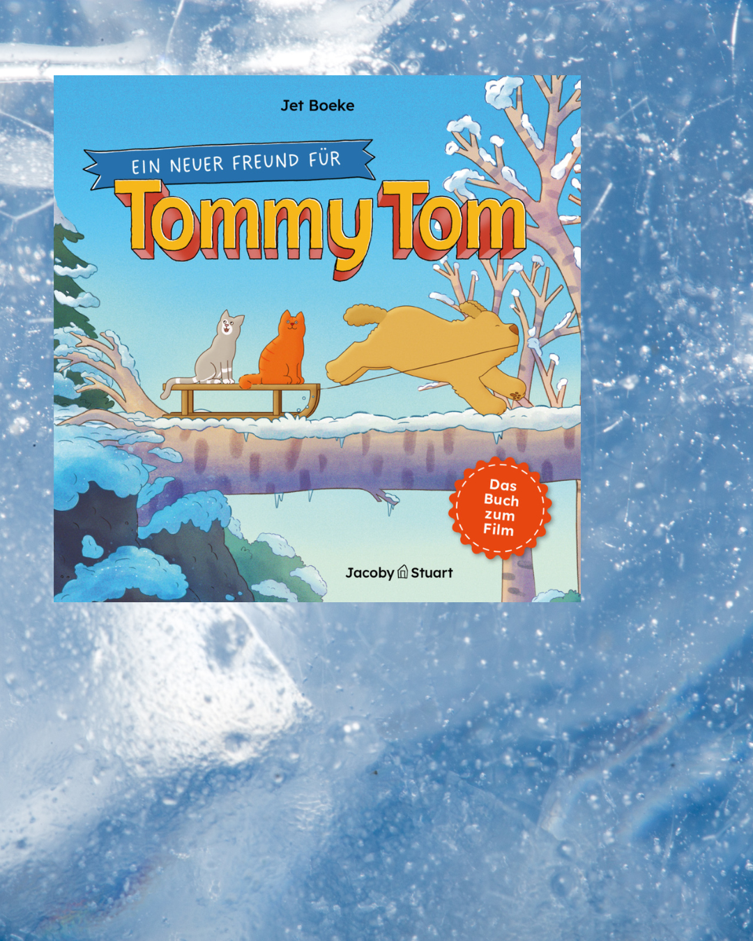 Jet Boeke: Ein Freund für Tommy Tom