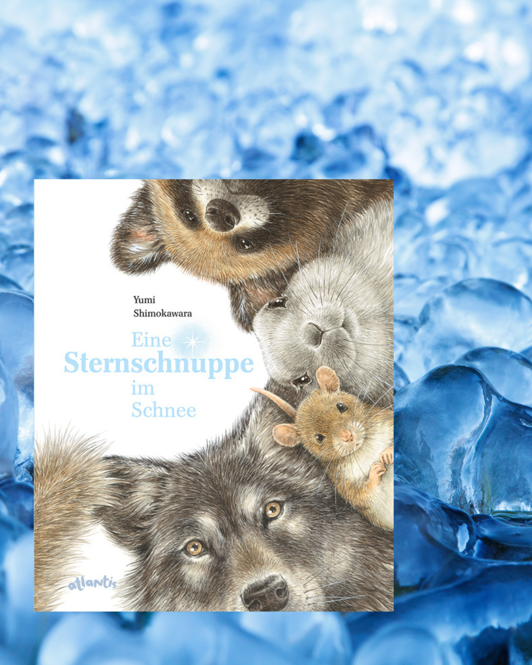 Yumi Shimokawara: Eine Sternschnuppe im Schnee