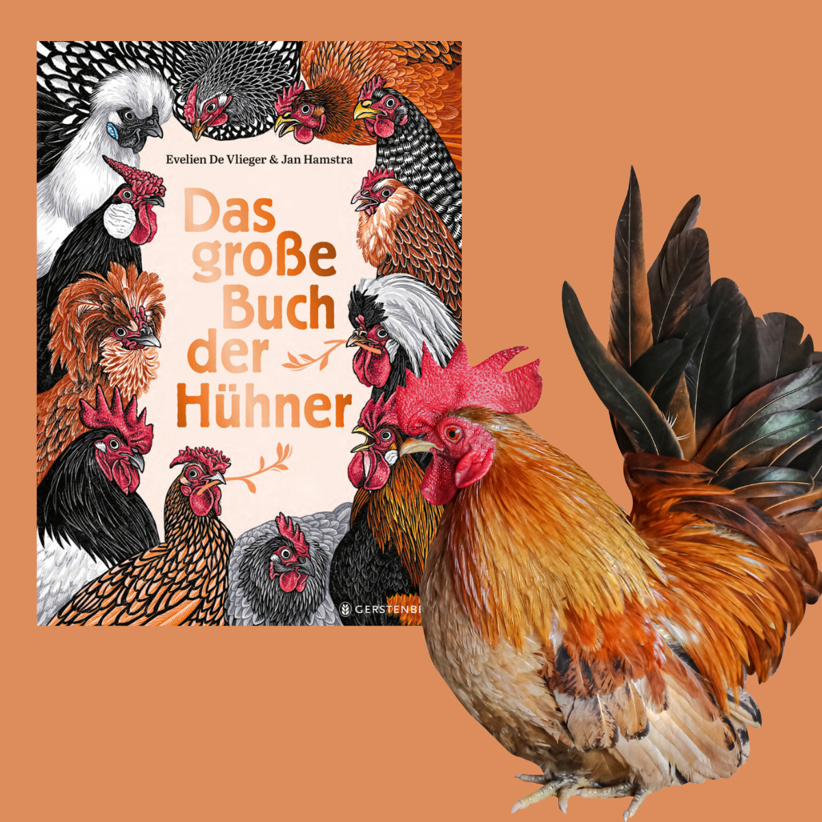 Evelien de Vlieger:&nbsp; Das große Buch der Hühner