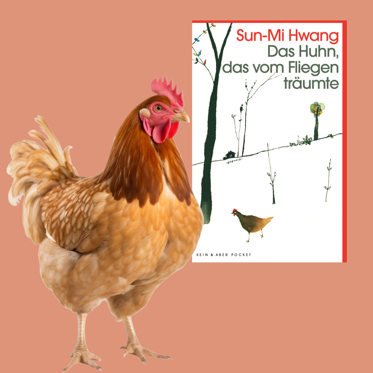 Sun-Mi Hwang: Das Huhn, das vom Fliegen träumte