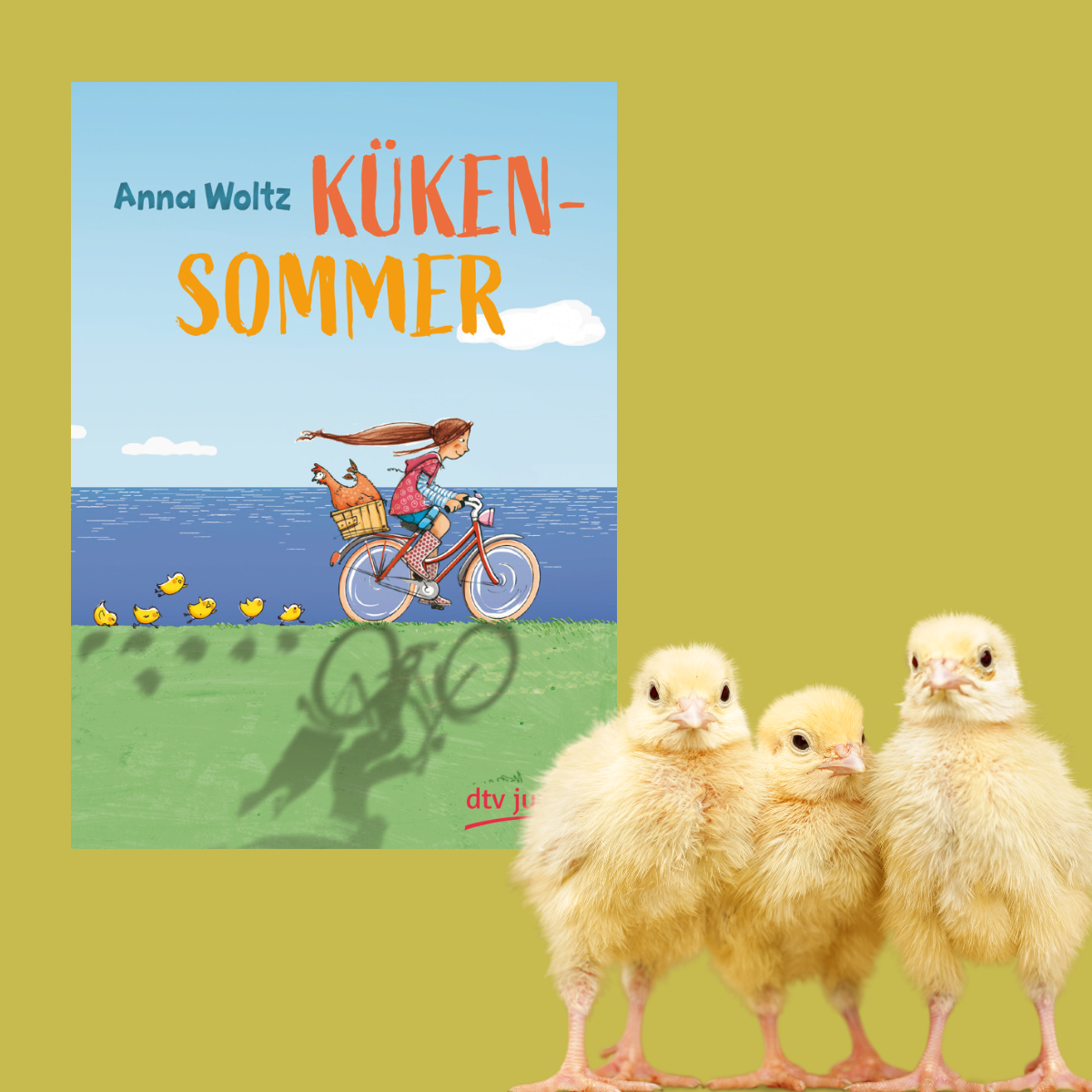 Anna Woltz: Kükensommer