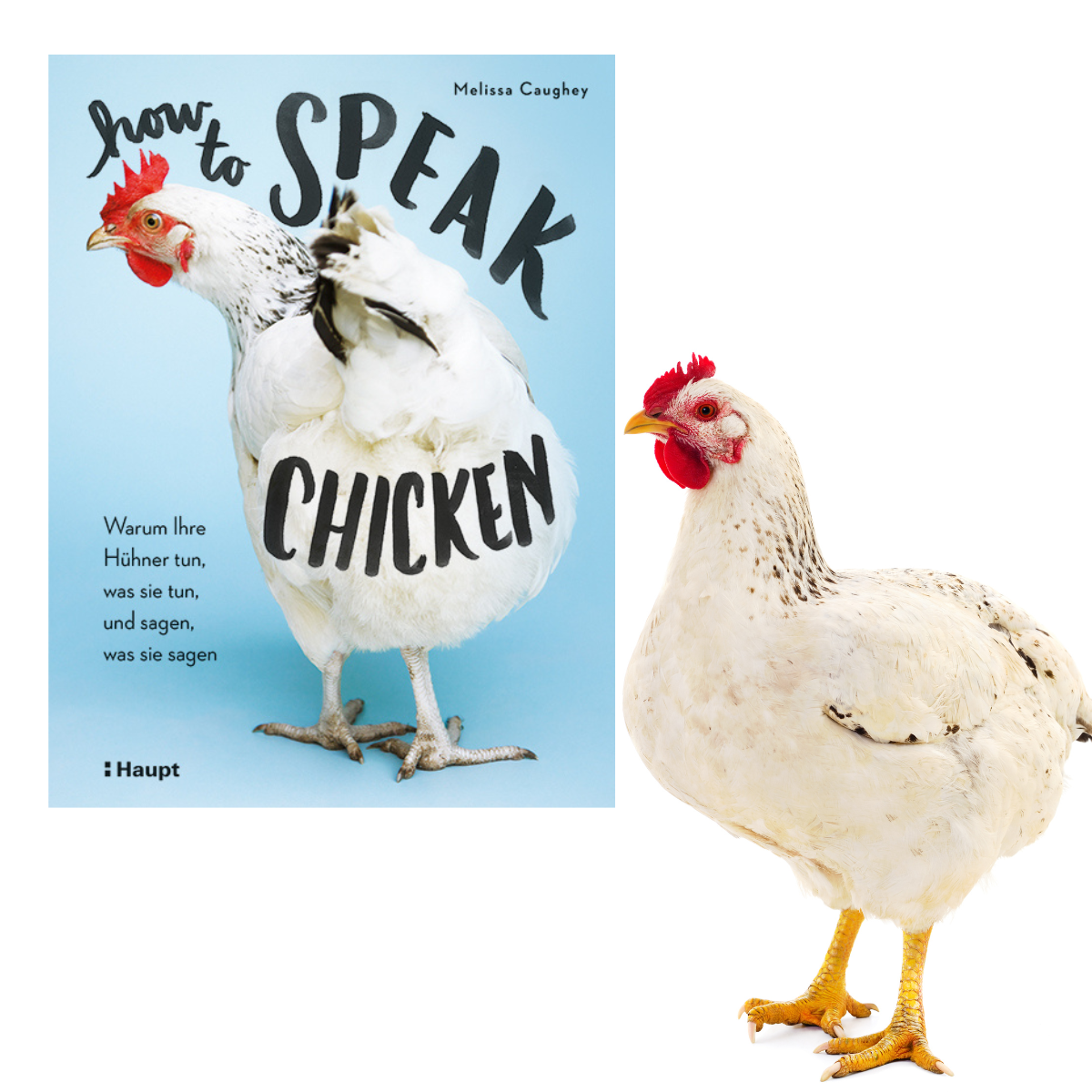 Melissa Caughery: How to speak Chicken