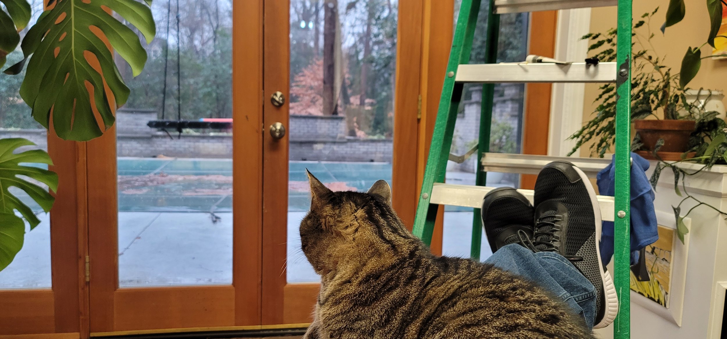 20220203_164634.jpg
