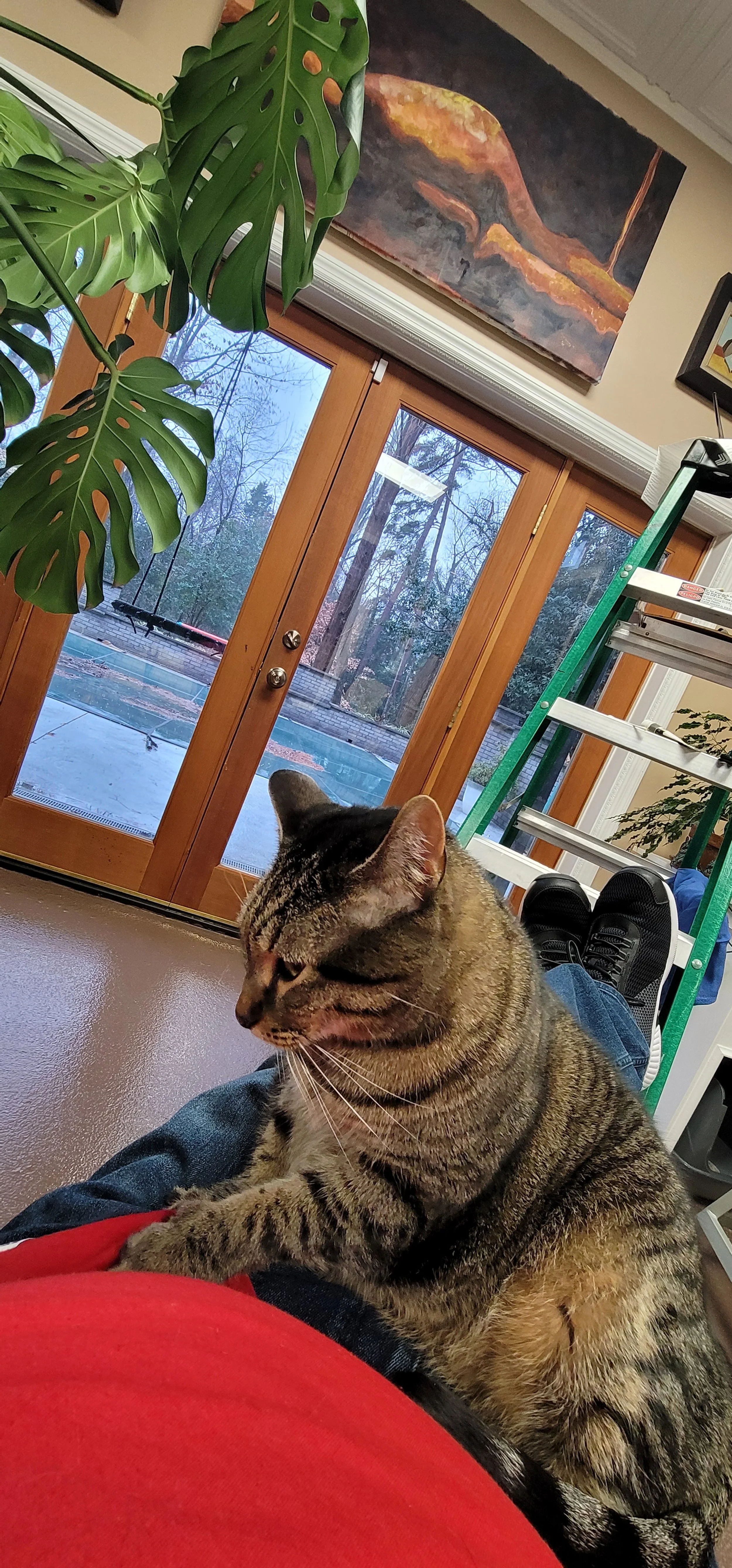 20220203_163721.jpg
