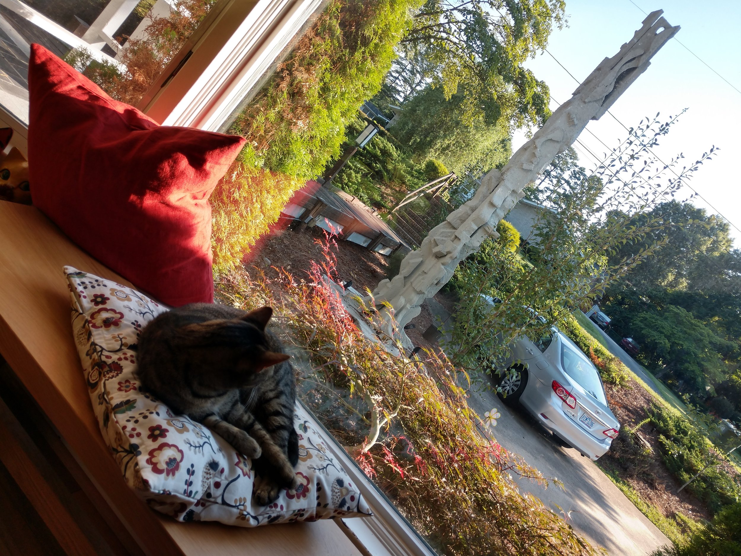 IMG_20180703_083852267_HDR.jpg