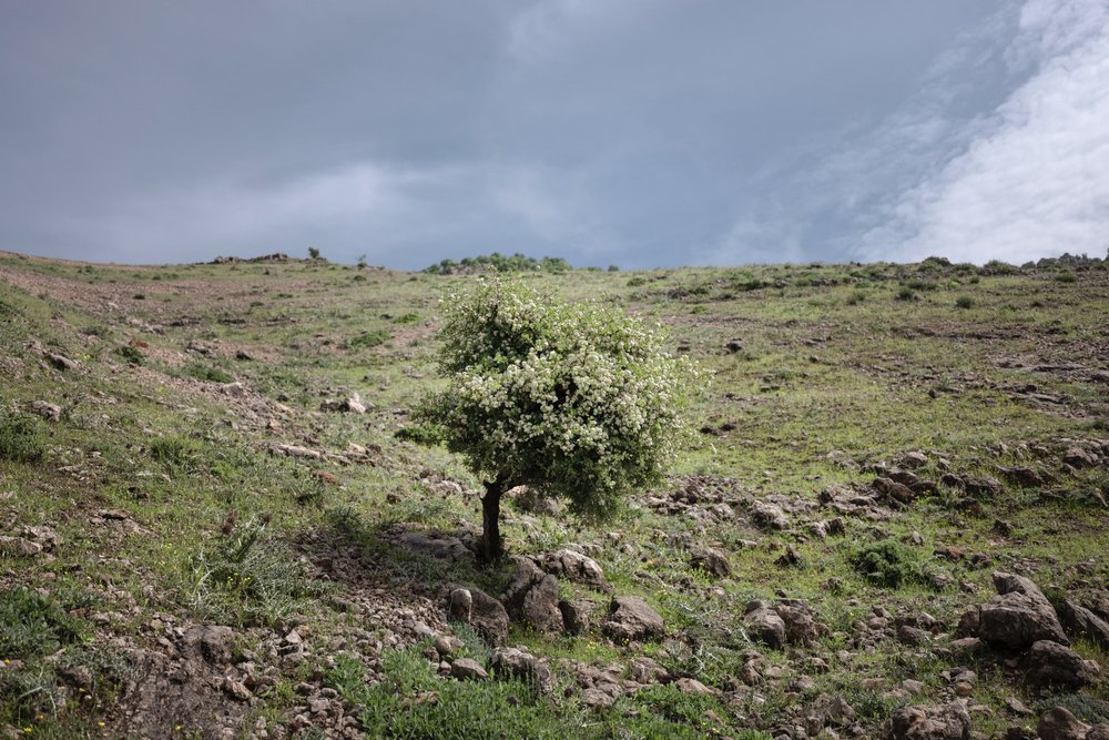 Stage 2 - Akre to Hashtga — Zagros Mountain Trail