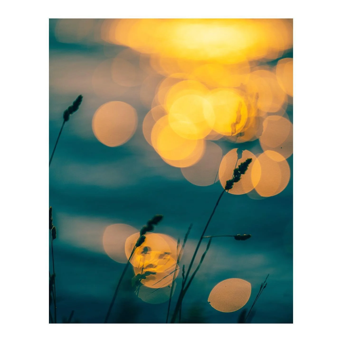 🌞