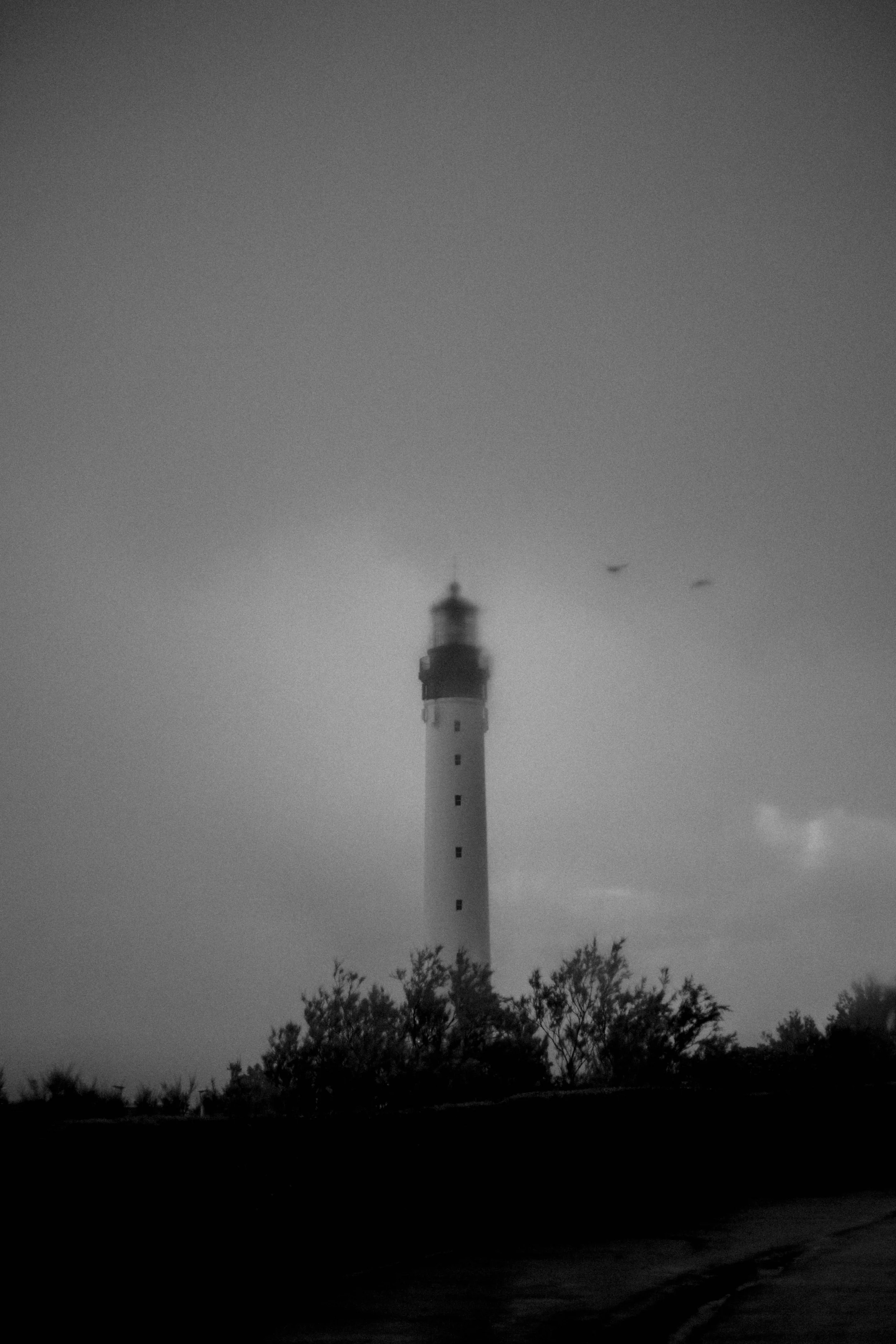 IMG_7842.jpg