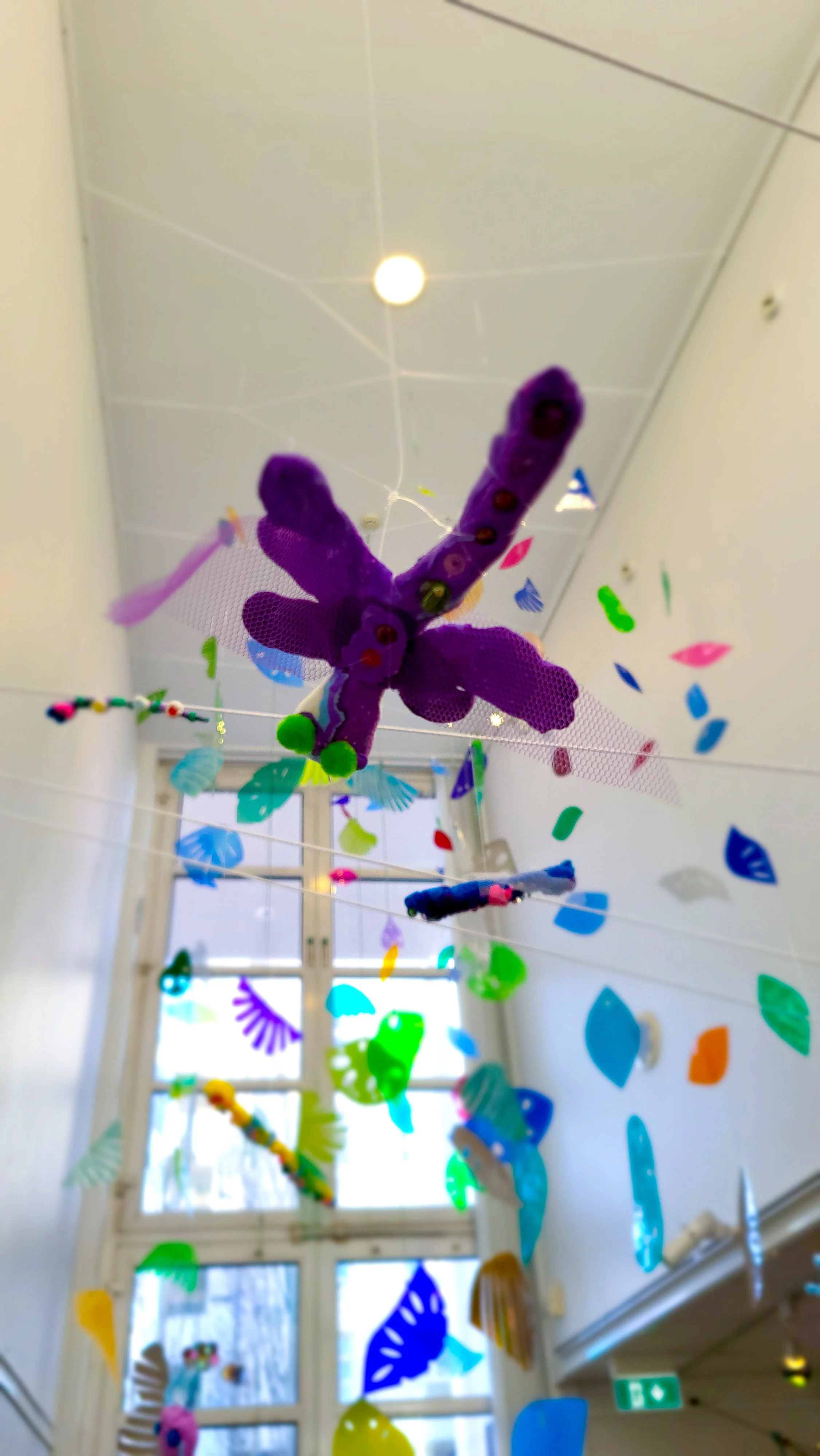 sade malmi 20260401_171545 copy.jpg