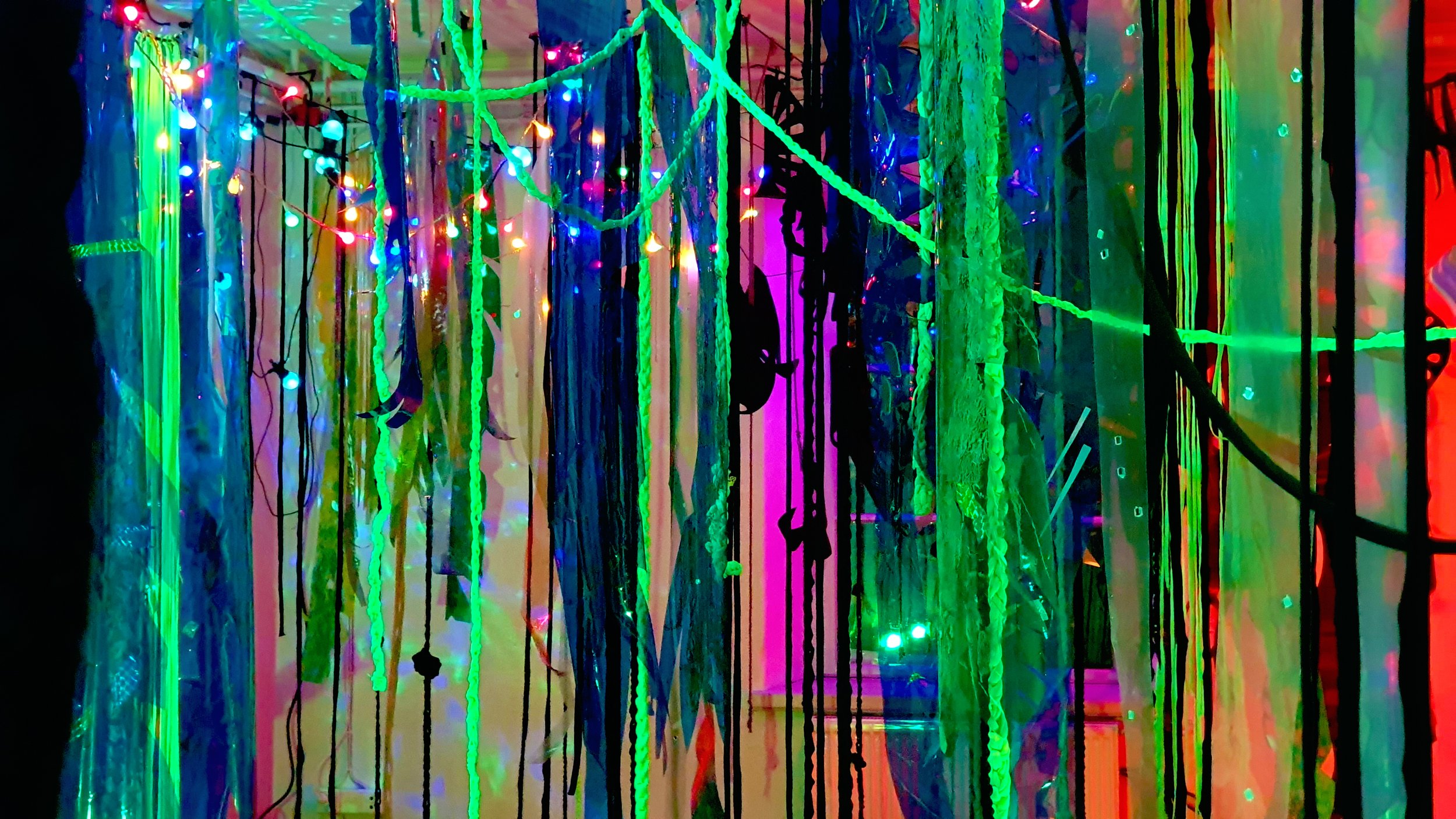 20220201_194916 copy.jpg