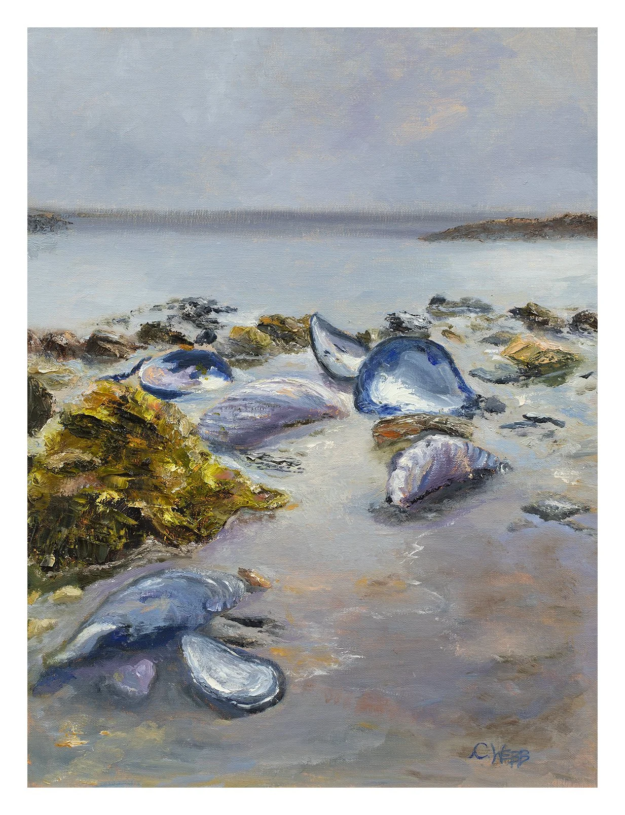 Mussel Beach
