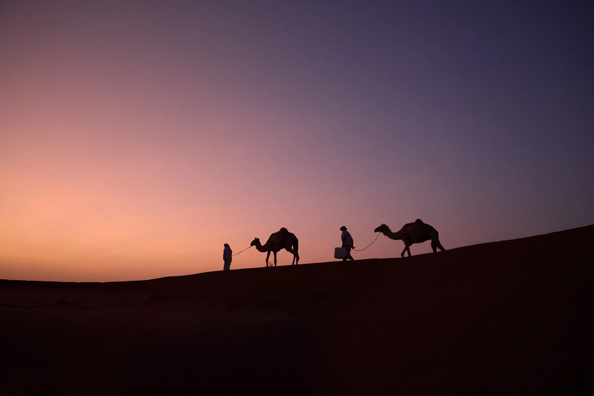 A Serious Case of Travelling