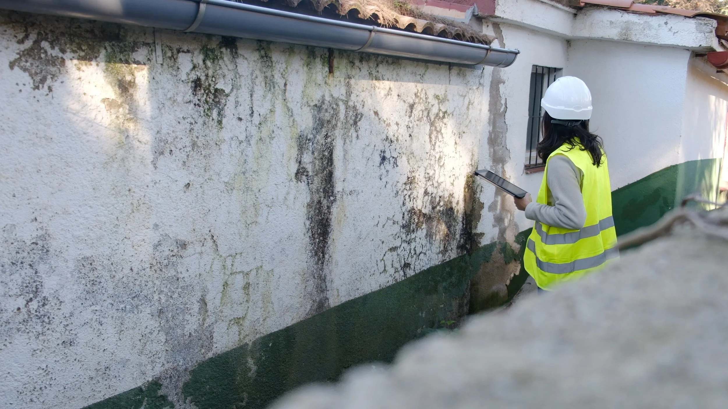Woman wearing a white safety helmet and yellow reflective vest inspecting a dirty, moldy wall with a tablet in hand.