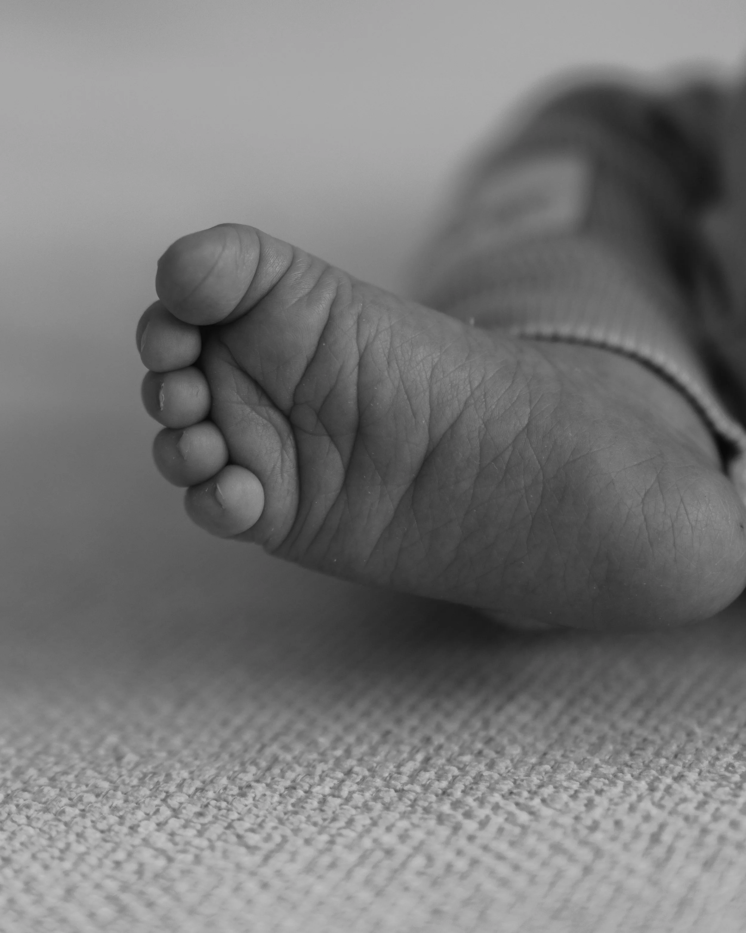 SchmittNewborn-229.jpg