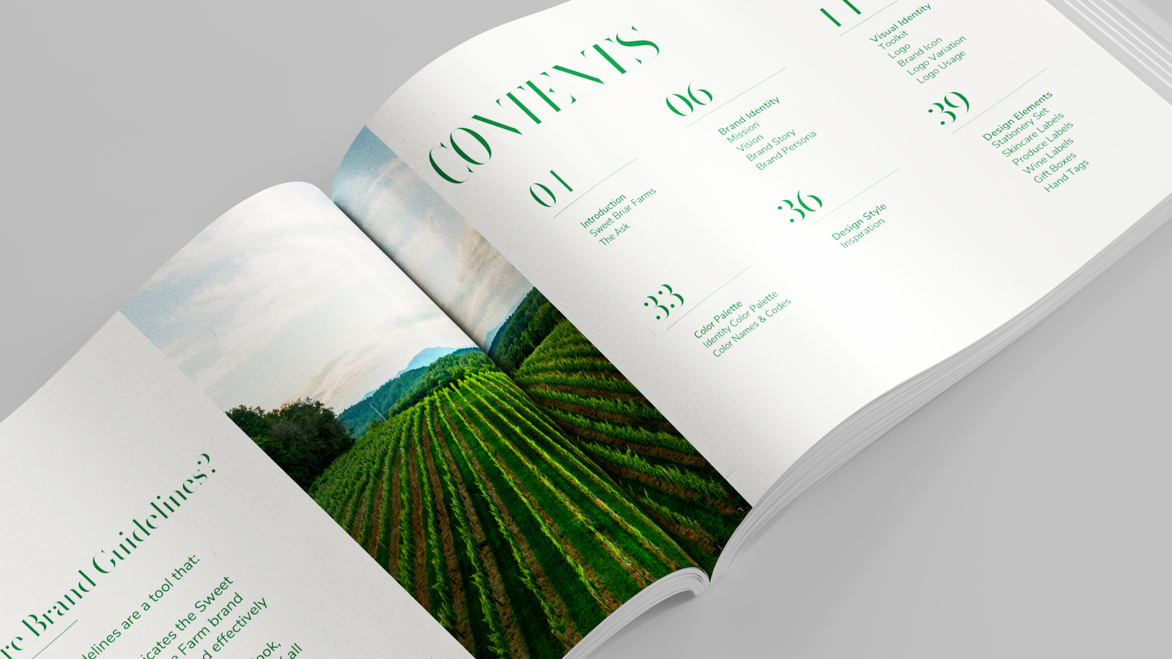 brand+book+mockup_result.png