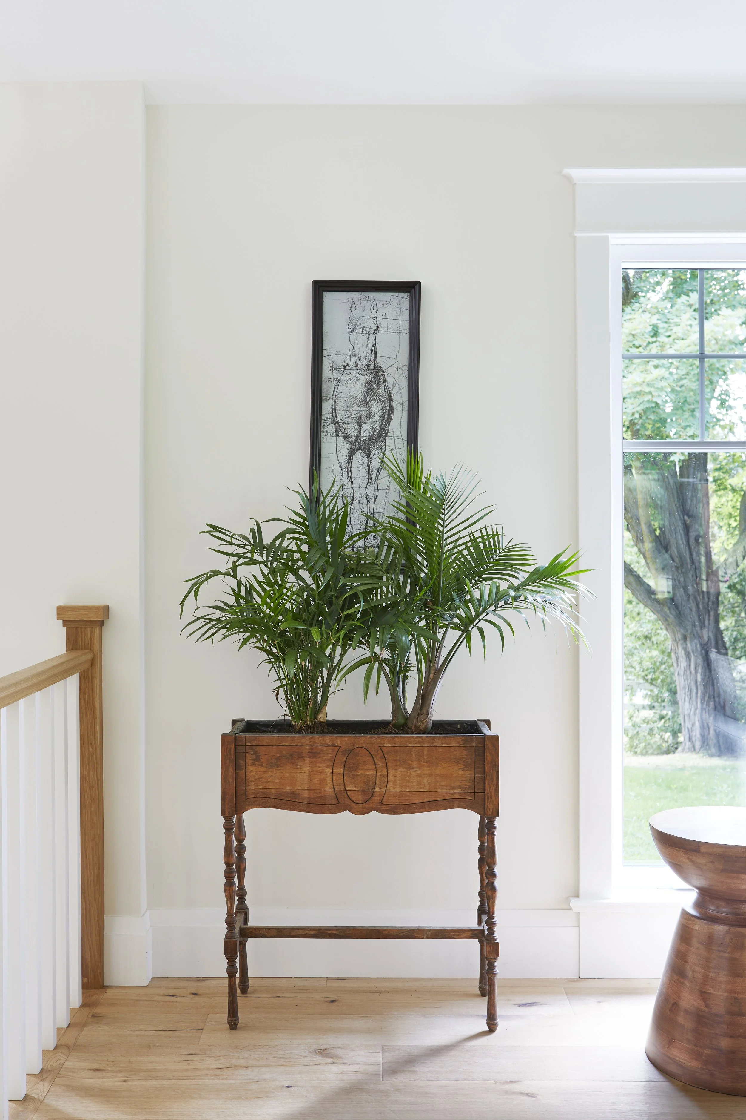 Indoor scene with a wooden plant stand holding a green potted plant, a framed art piece of a sketch of a horse's head hanging above, and a large window with view of trees outside.
