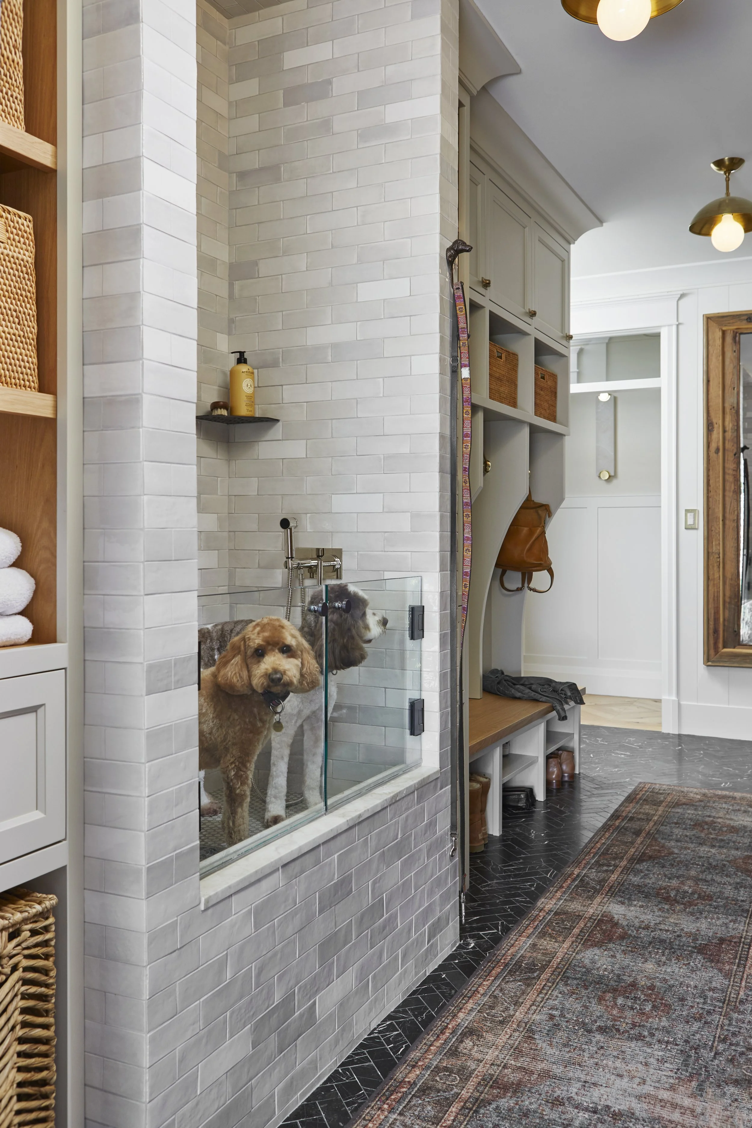 Two dogs inside a glass-walled shower, looking out into a hallway with a vintage rug, wooden and gray built-in storage, and a hallway with white walls and modern ceiling lights.