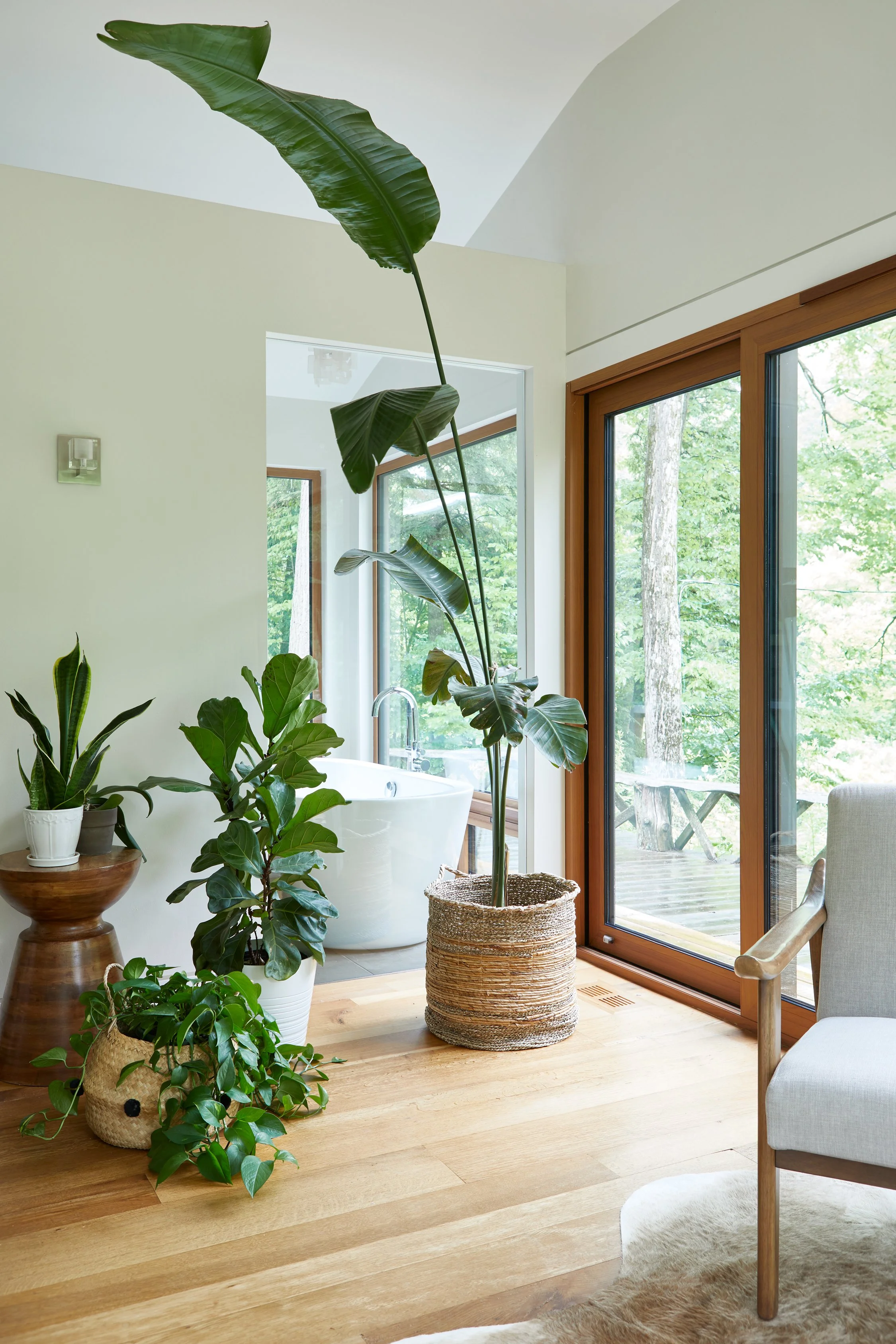 Living room with large potted plants, wooden flooring, and a view of the outdoors through sliding glass doors with wooden frames.
