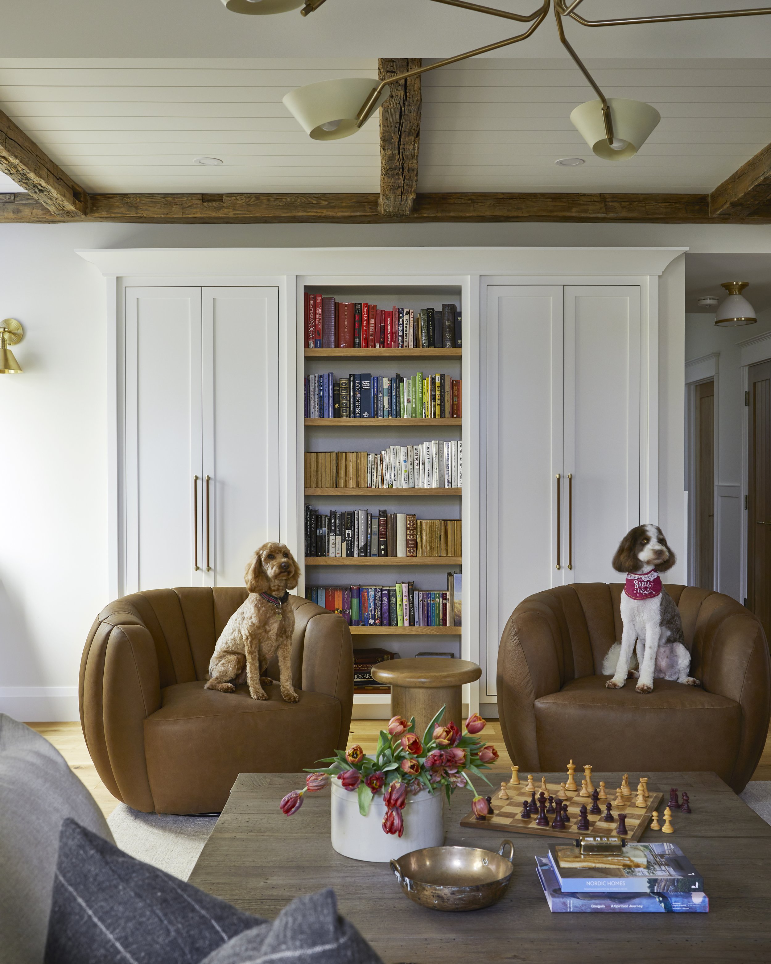 Living room with a white built-in bookshelf filled with colorful books, two brown leather chairs with dogs sitting on them, a wooden coffee table with a vase of flowers, a chessboard, and some books, and a ceiling light fixture.