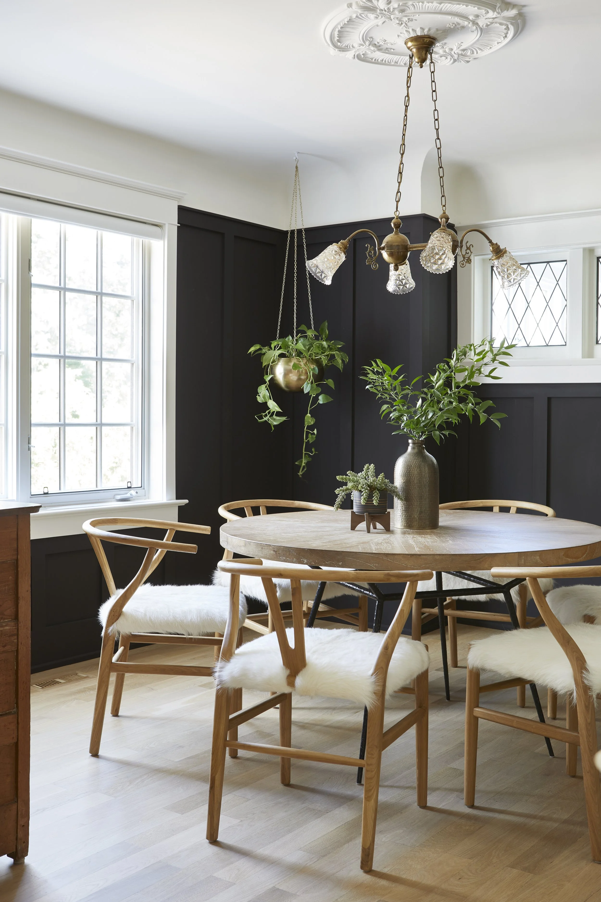 A dining room with a round wooden table, four wooden chairs with white fur cushions, black paneled wall, two windows, a hanging chandelier, and decorative vases with green plants.
