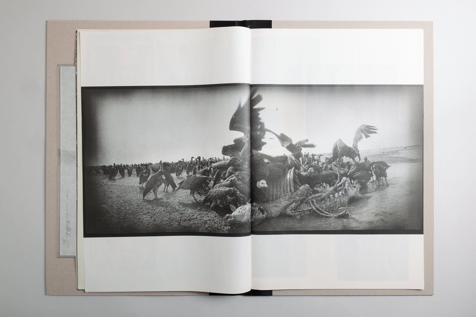 Michael Ackerman – Epilogue COLLECTOR